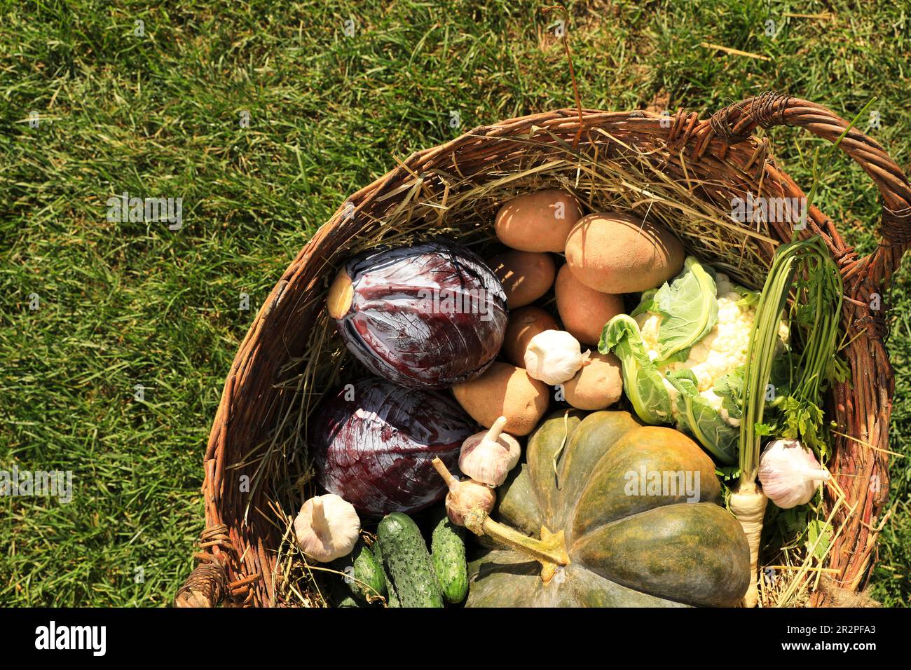 Diverse verdure fresche mature in cestino di vimini su erba verde, vista dall'alto Foto Stock