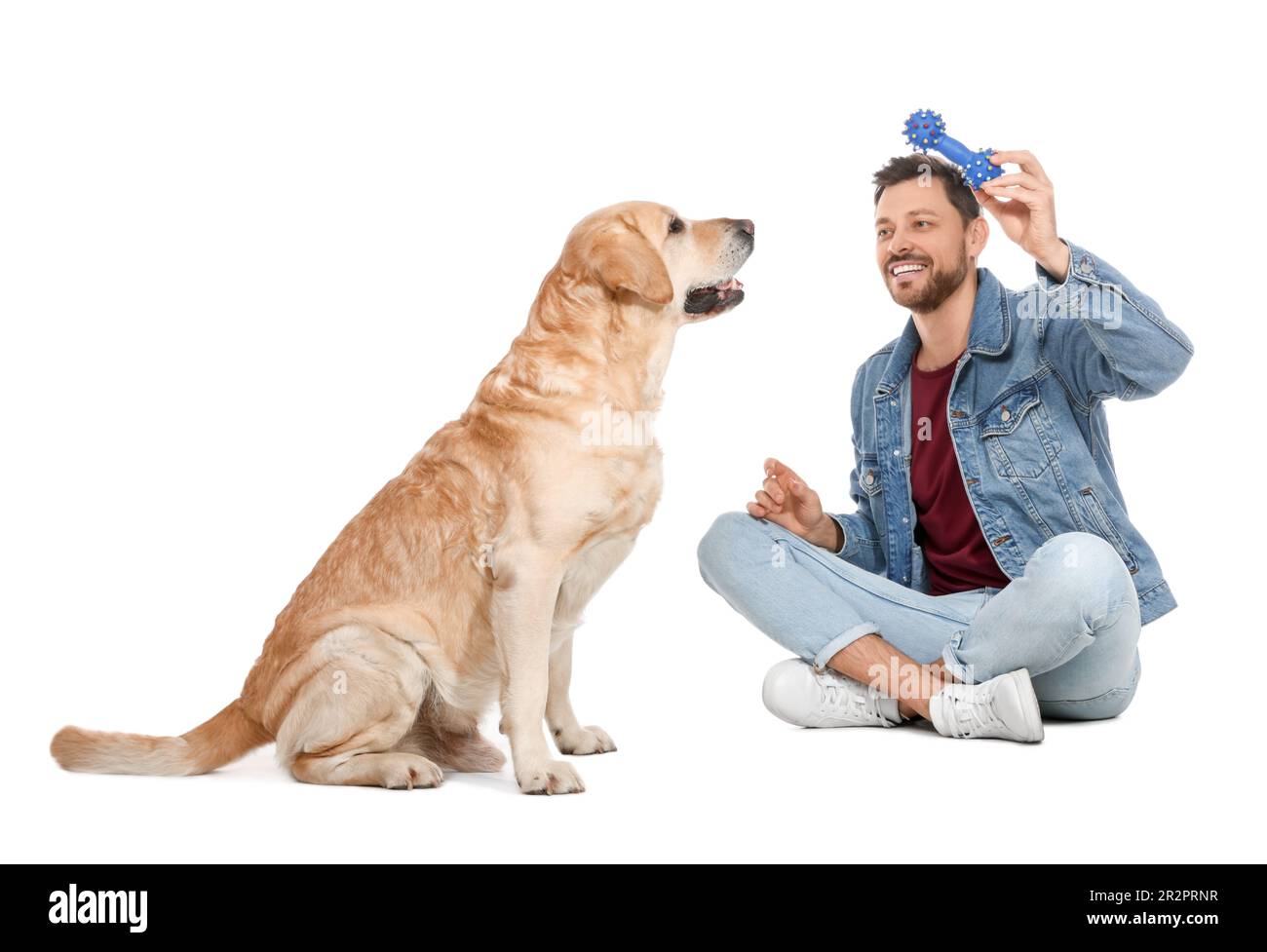 Felice uomo che gioca con il suo carino Labrador Retriever su sfondo bianco Foto Stock