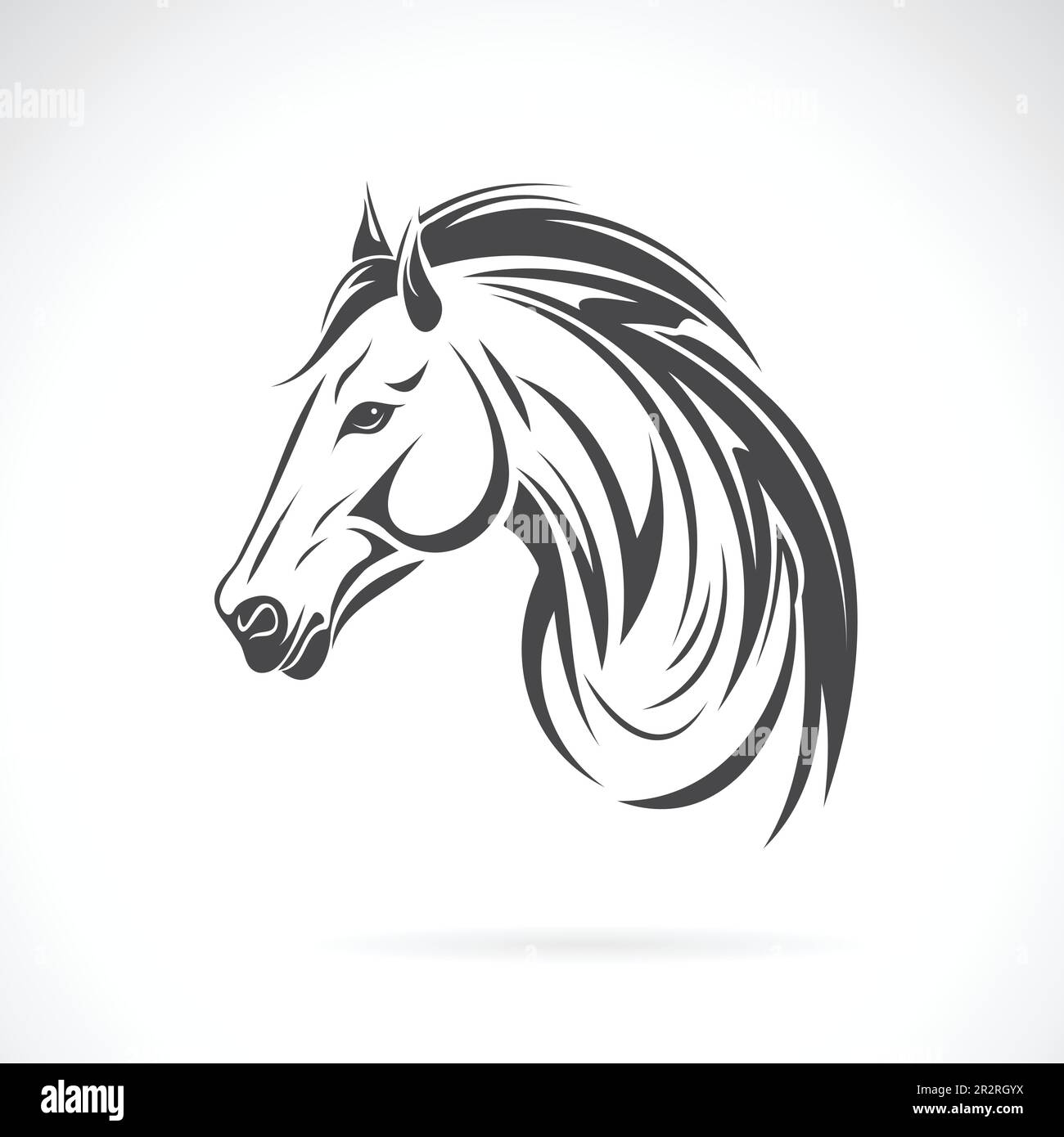 Vettore di testa di cavallo su sfondo bianco. Animali selvatici. Illustrazione vettoriale a strati facilmente modificabile. Illustrazione Vettoriale