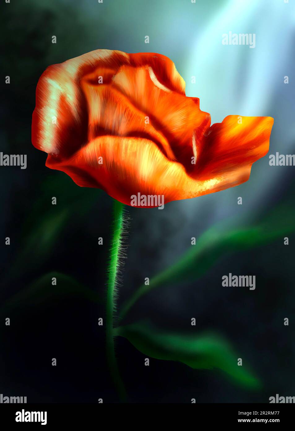 Illustrazione digitale - un fiore rosso-arancio brillante su uno sfondo scuro e moscato Foto Stock