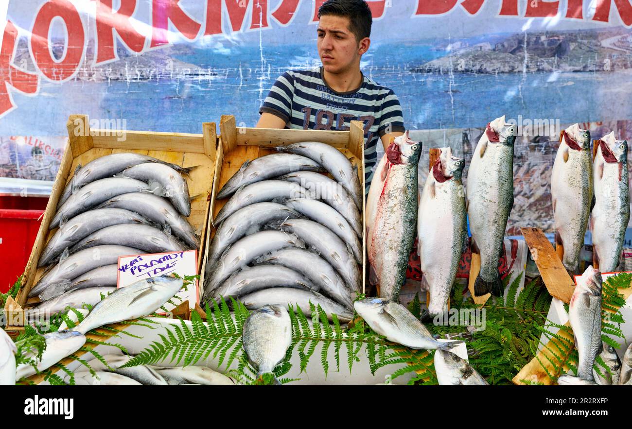Istanbul Turchia. Pesce fresco al mercato di strada nel quartiere di Fatih Foto Stock