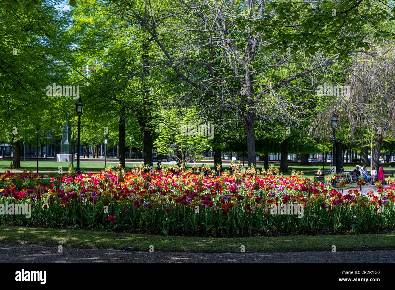 Carl Johans Park in una soleggiata giornata primaverile a Norrkoping. Norrkoping è una storica città industriale della Svezia. Foto Stock