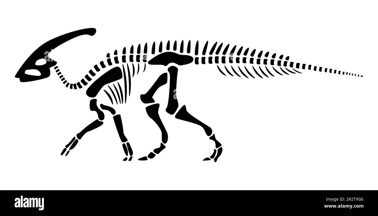 Scheletro di Parasaurolofo . Silhouette dinosauri . Vista laterale . Vettore . Illustrazione Vettoriale