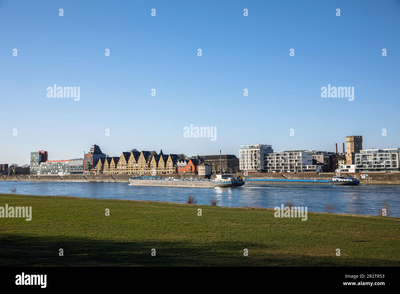 Vista sul Reno fino al porto di Rheinau, Colonia, Germania. Blick von den Poller Rheinwiesen ueber den Rhein zum Rheinauhafen, Koeln, Deutschland. Foto Stock