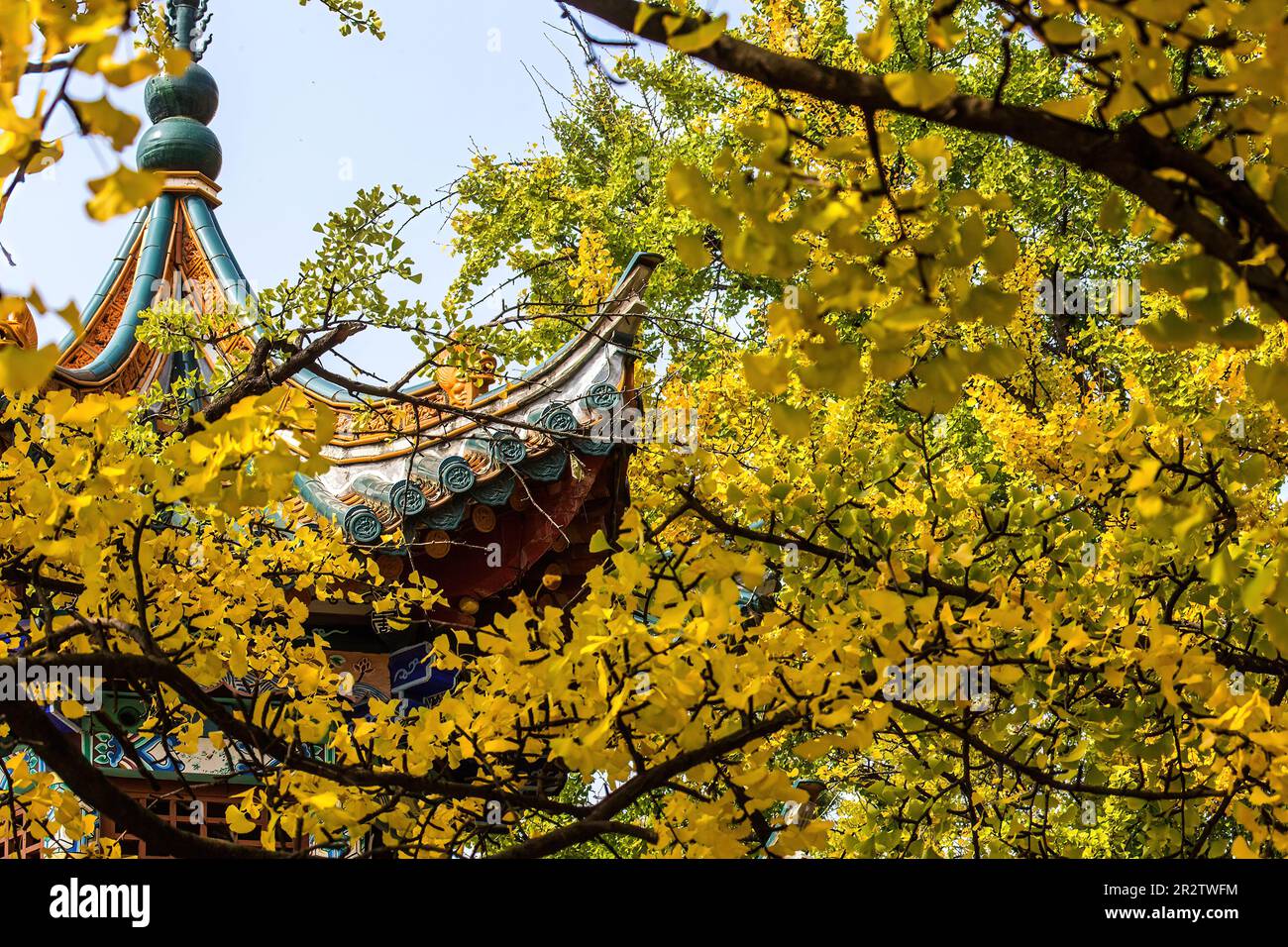 Un'elegante pagoda nel parco del Lago Verde Foto Stock