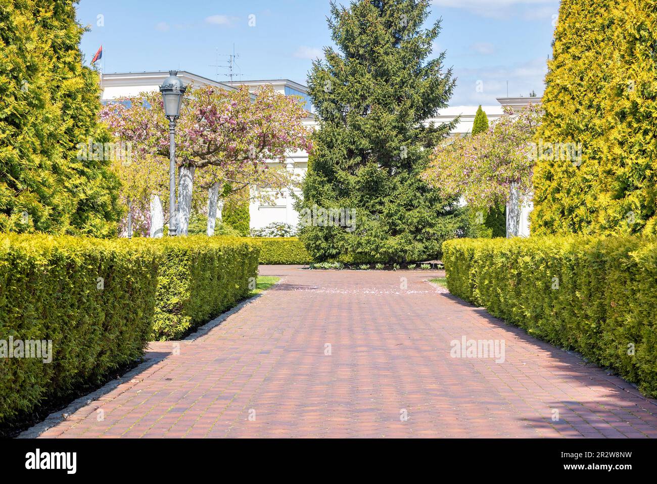 Il vicolo centrale del parco è tra cespugli e cipressi rifiniti ed è illuminato da caldi raggi di sole all'inizio della primavera. Architettura paesaggistica. Spazio di copia. Foto Stock