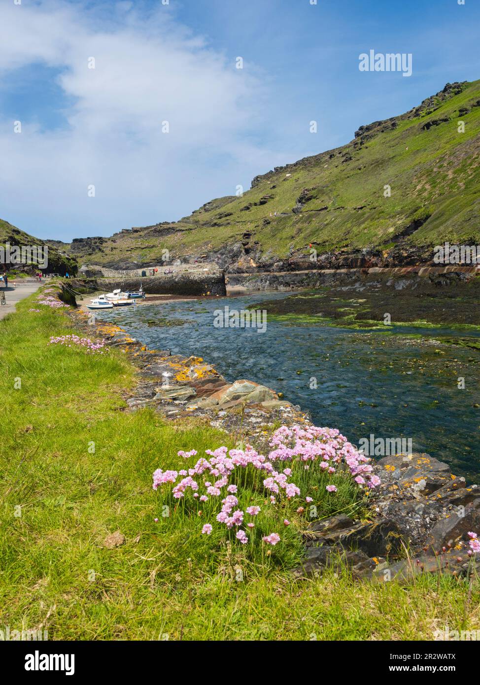Boscastle, Cornovaglia, Regno Unito, porto nel terreno roccioso della costa nord della Cornovaglia Foto Stock