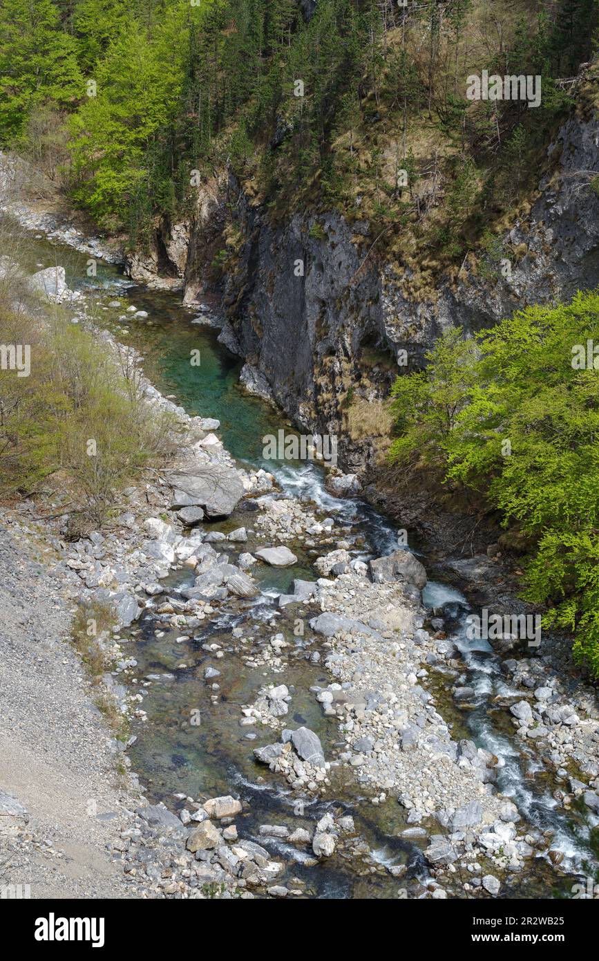 Vista elevata del torrente Negrone, che sorge nelle Alpi Ligure, forma il fiume Tanaro, Piemonte, Provincia di Cuneo, Italia Foto Stock