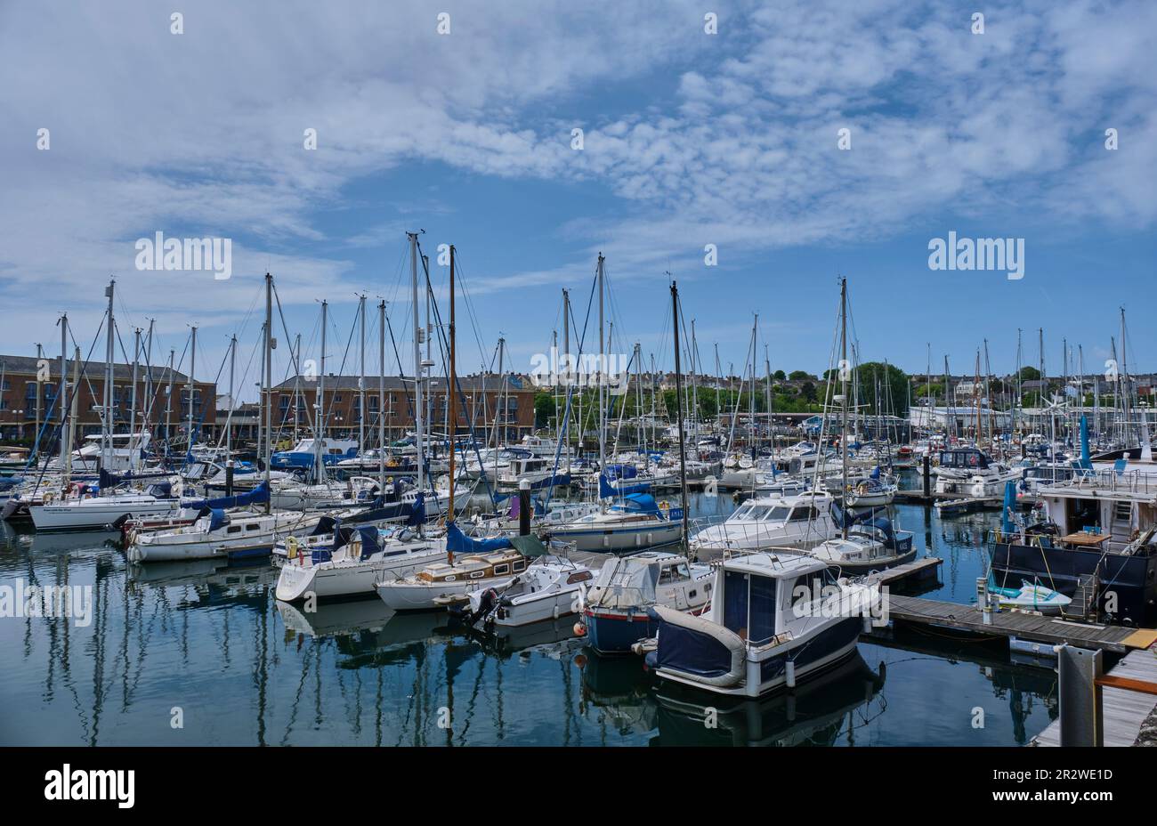 Barche a vela a Milford Waterfront, Milford Haven, Pembrokeshire Foto Stock