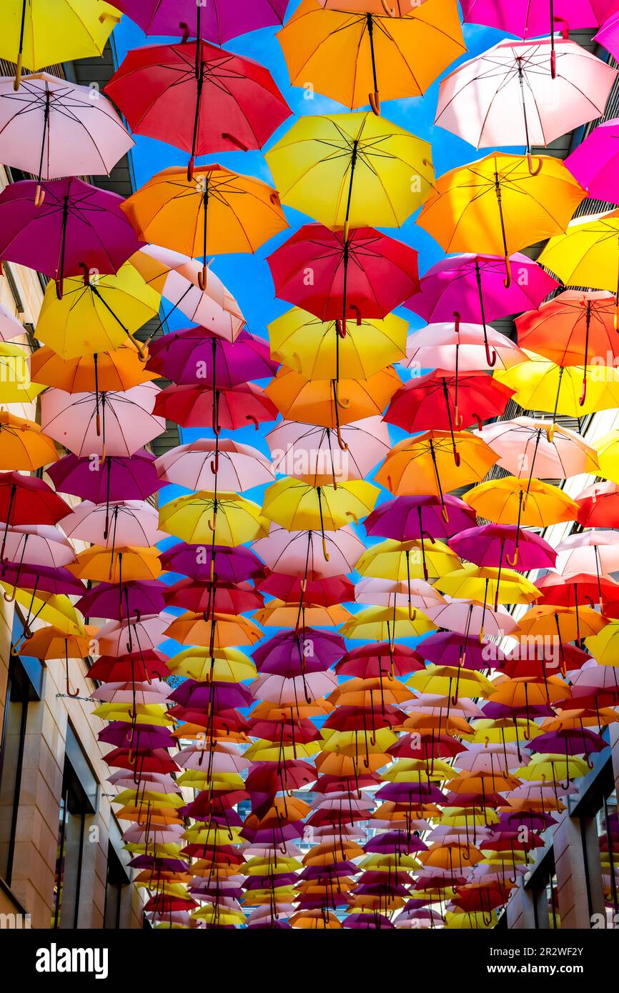 Ombrelli colorati appesi come decorazione di strada e protezione del sole  nella città di Bordeaux, Francia Foto stock - Alamy