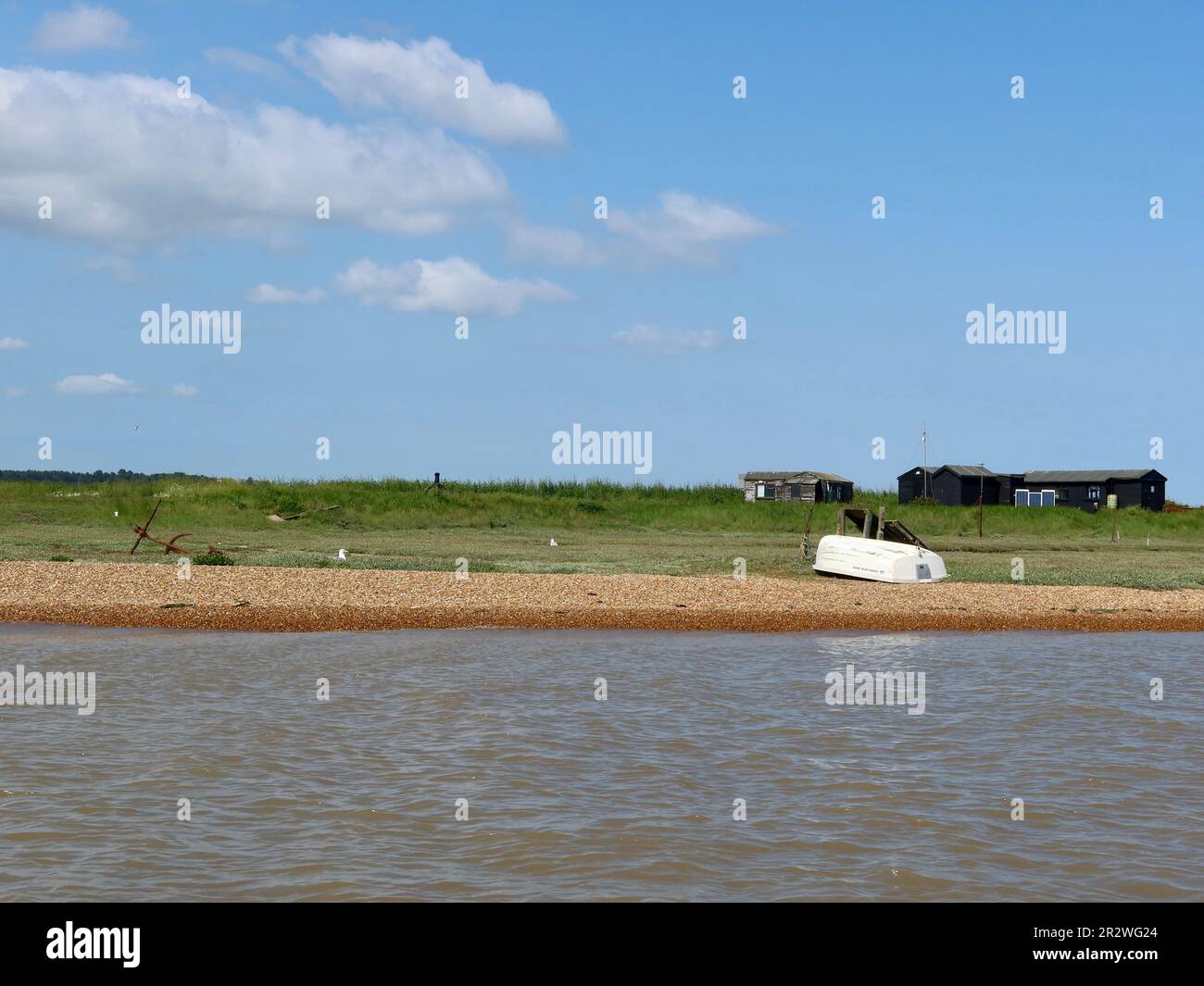 Orford, Suffolk - 21 Maggio 2023 : gita in barca sul fiume Alde da Orford Quay. Isola di Havergate protetta dalla RSPB. Foto Stock