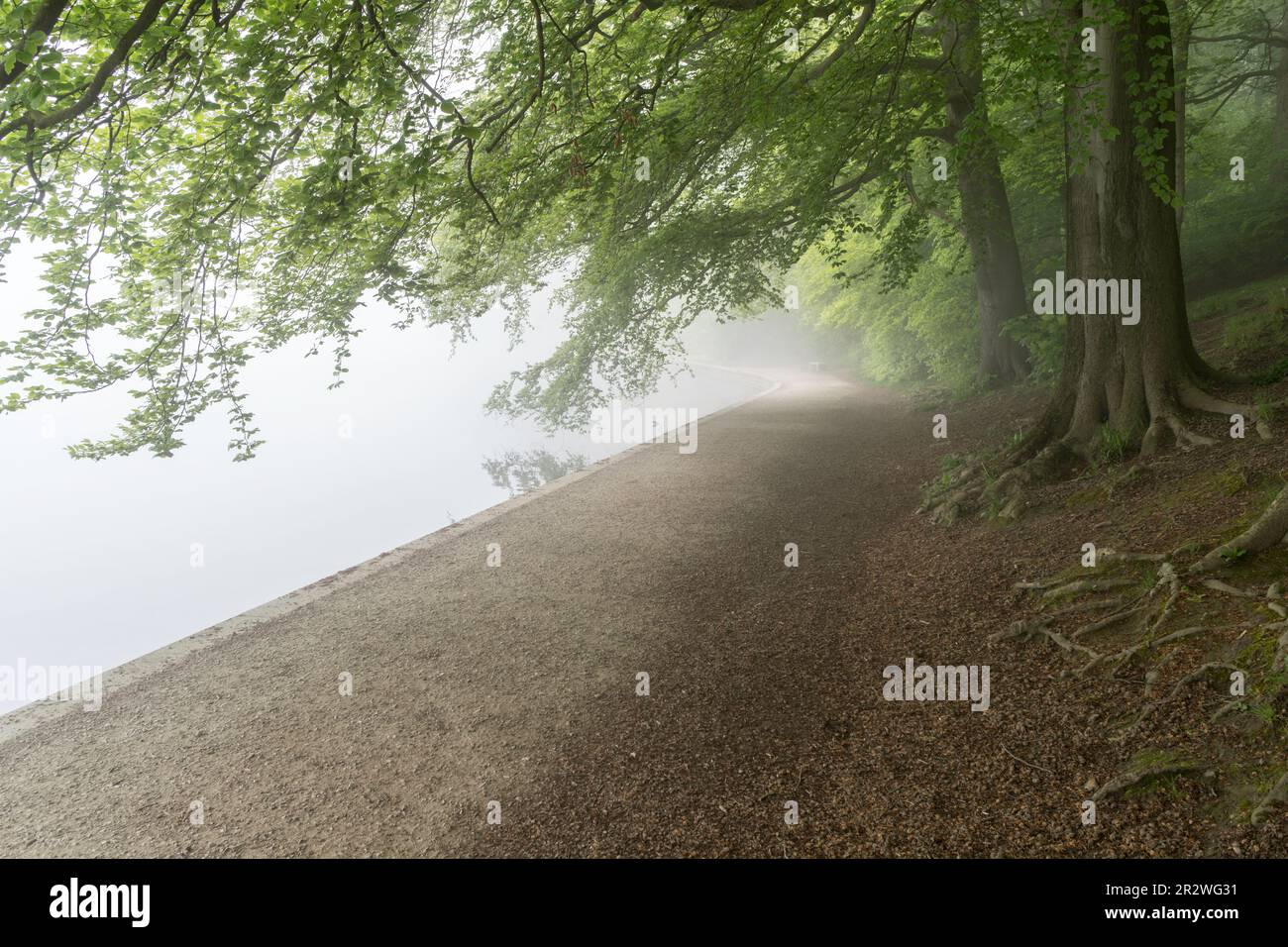 Un sentiero deserto sul lago in una giornata misteriosa a Roundhay Park, Leeds, Inghilterra, Regno Unito Foto Stock