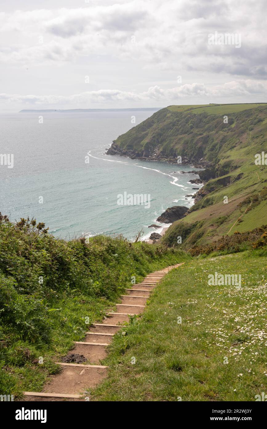 Passi giù a Lantic Bay sul percorso costiero sud-occidentale in Cornovaglia, Regno Unito. Foto Stock