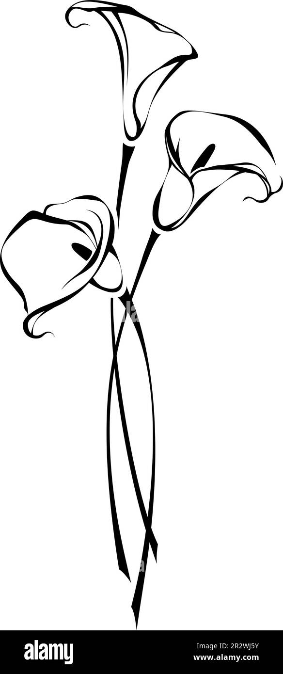 Bouquet di fiori di giglio di calla isolati su sfondo bianco. Disegno di contorno del bouquet di fiori di calla. Illustrazione vettoriale in bianco e nero Illustrazione Vettoriale