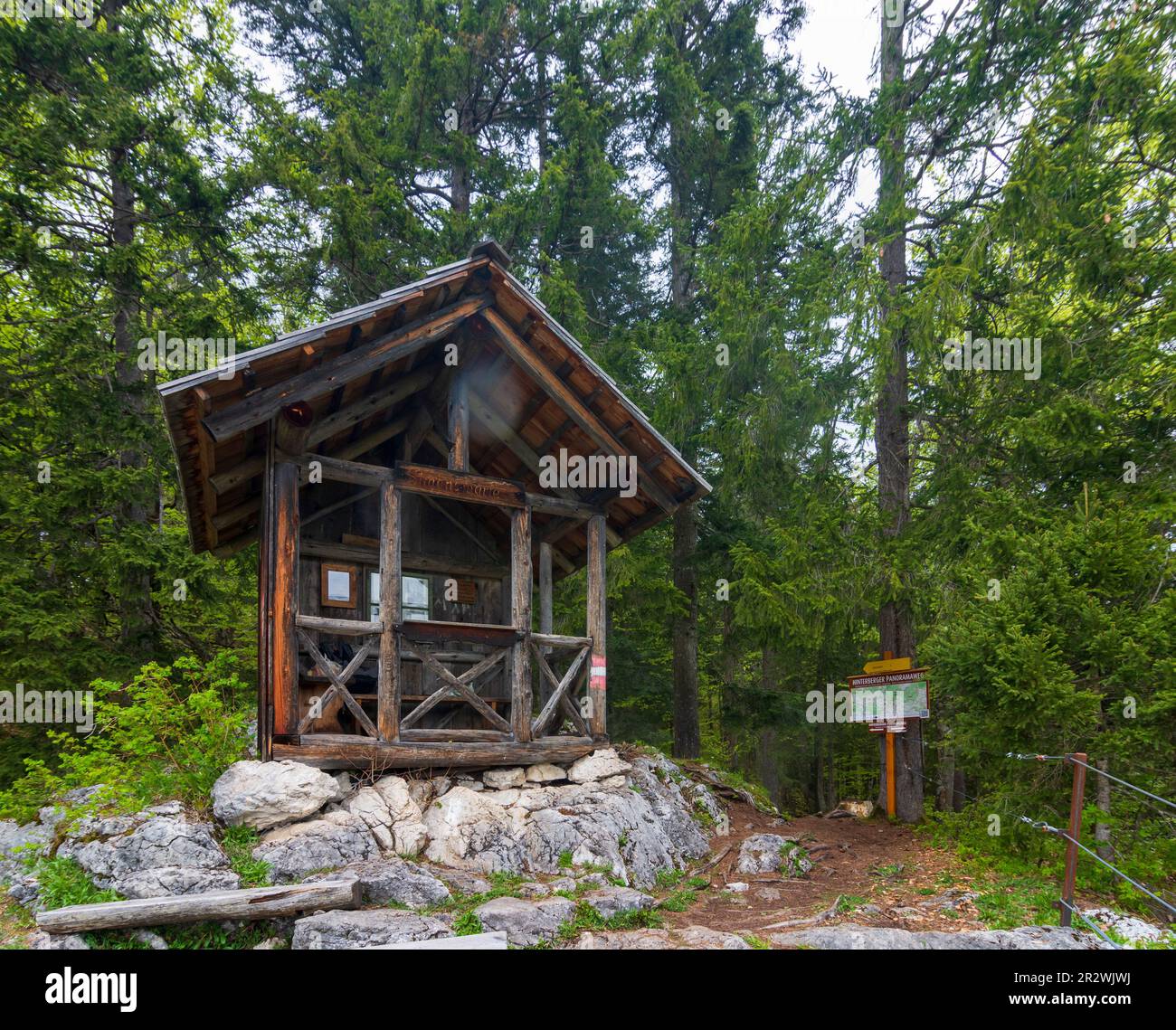 Bad Mitterndorf: Punto di vista Simonywarte in Ausseerland-Salzkammergut, Steiermark, Stiria, Austria Foto Stock