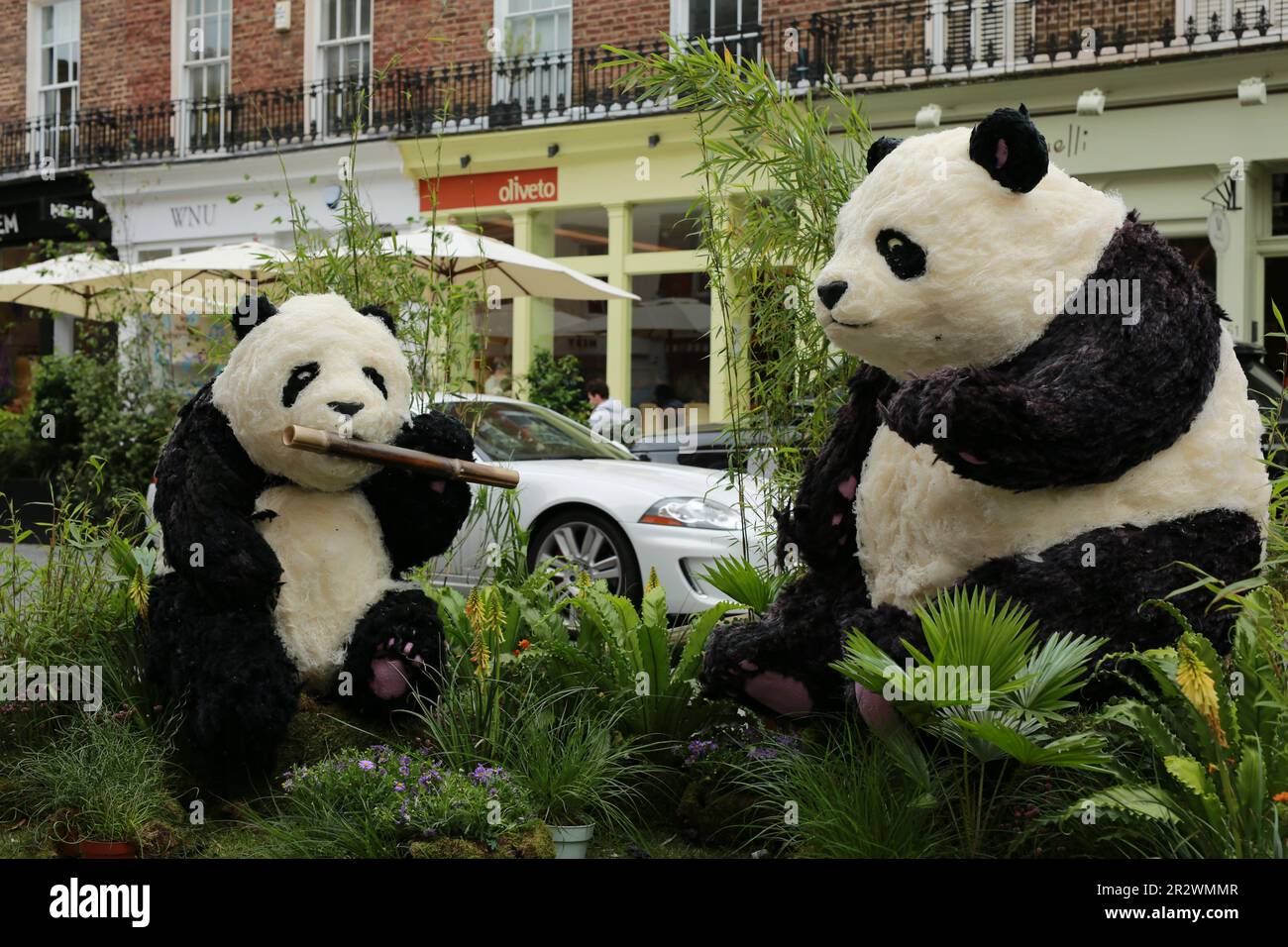 Londra, Regno Unito. 21 maggio 2023. Belgravia's Bamboo Bears di Moyses Stevens su Elizabeth Street. Il festival Belgravia in Bloom si terrà dal 22 al 29 maggio. Tornando per l’ottava volta con il tema ‘Into the Wild’, il festival vedrà Belgravia prendere vita con incredibili installazioni floreali. Le installazioni floreali locali coincidono con l'annuale RHS Chelsea Flower Show. Credit: Waldemar Sikora/Alamy Live News Foto Stock