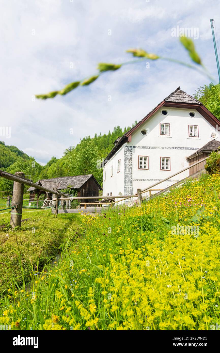 Bad Goisern am Hallstättersee: Mulino ad acqua Anzenaumühle a Salzkammergut, Oberösterreich, Austria superiore, Austria Foto Stock