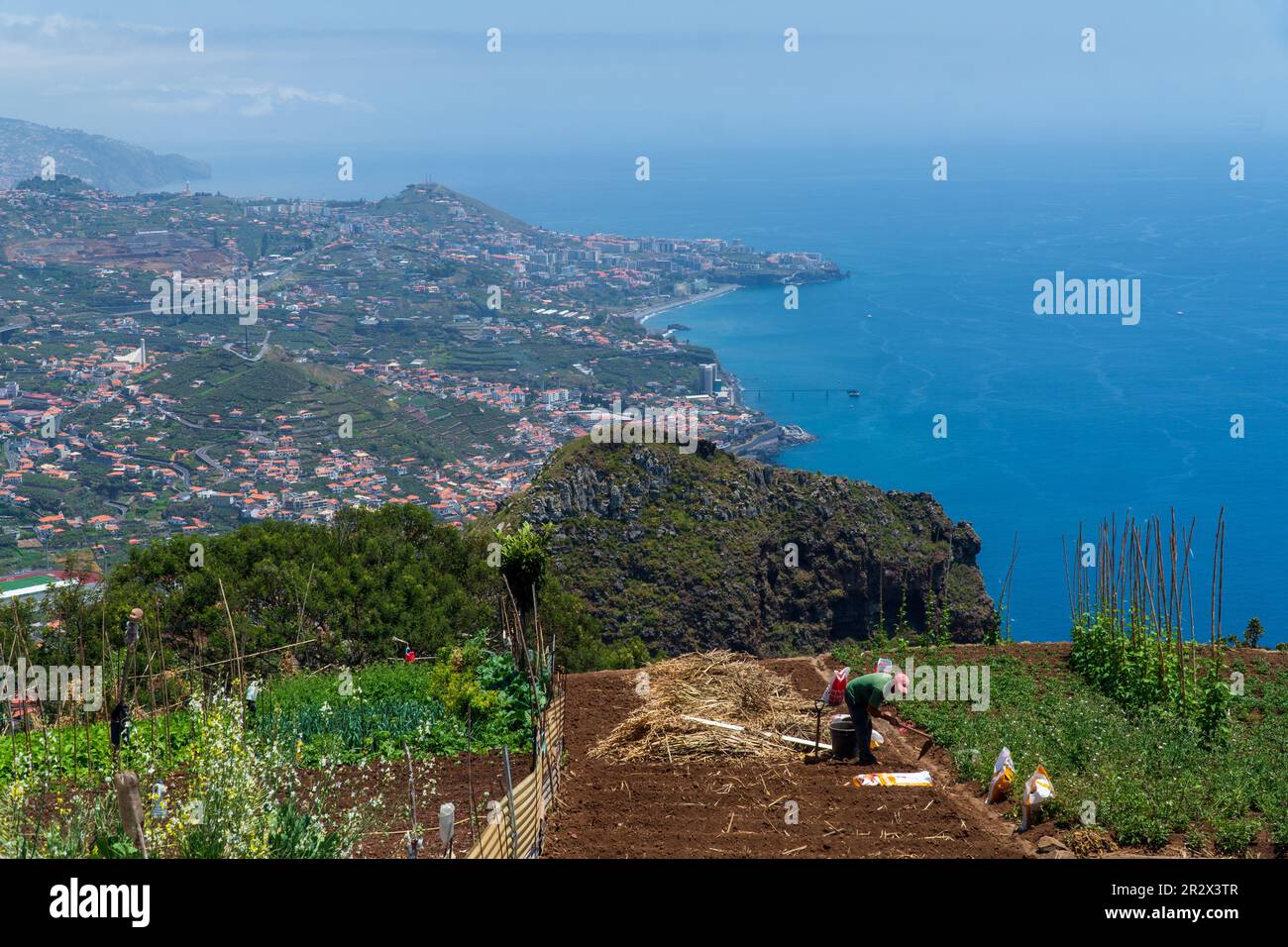 Mano di coltivatore esperto raccolga il suolo e controllante salute del suolo prima della crescita un seme di piantine o di vegetali. Agricoltura, giardinaggio o ecologia con Foto Stock