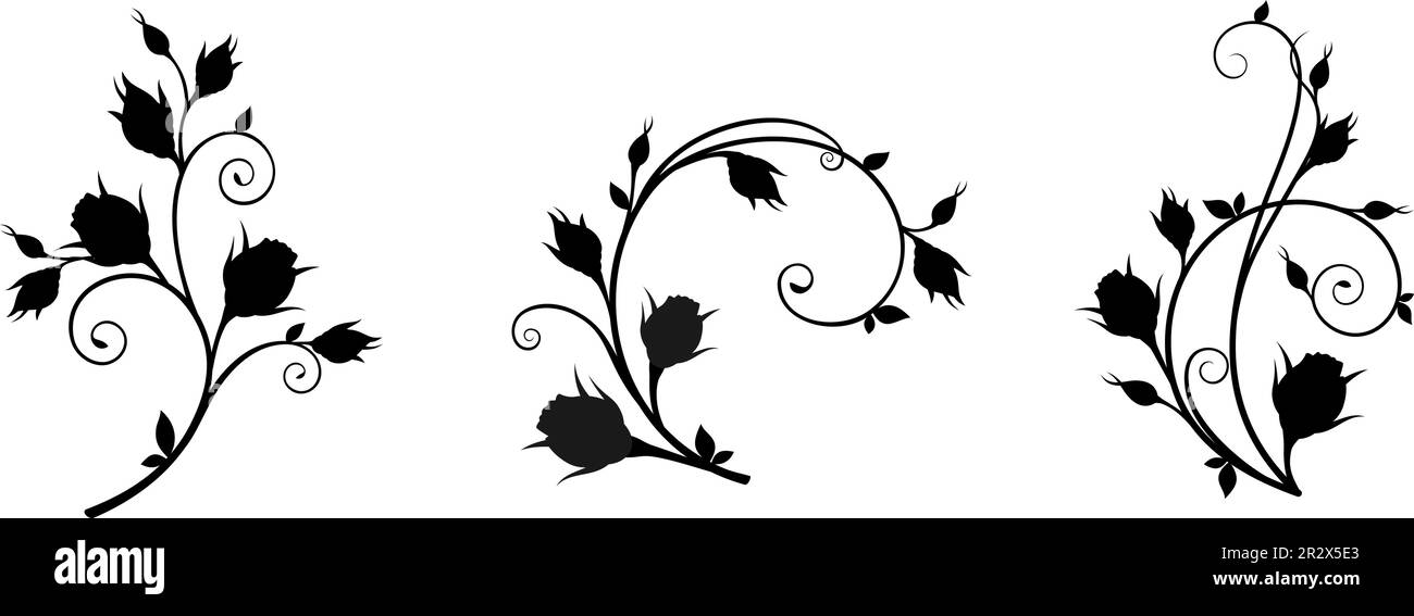 Silhouette nere di rami con boccioli di rosa e foglie isolate su sfondo bianco. Elementi decorativi floreali con boccioli di rosa. Set di illustr vettoriale Illustrazione Vettoriale