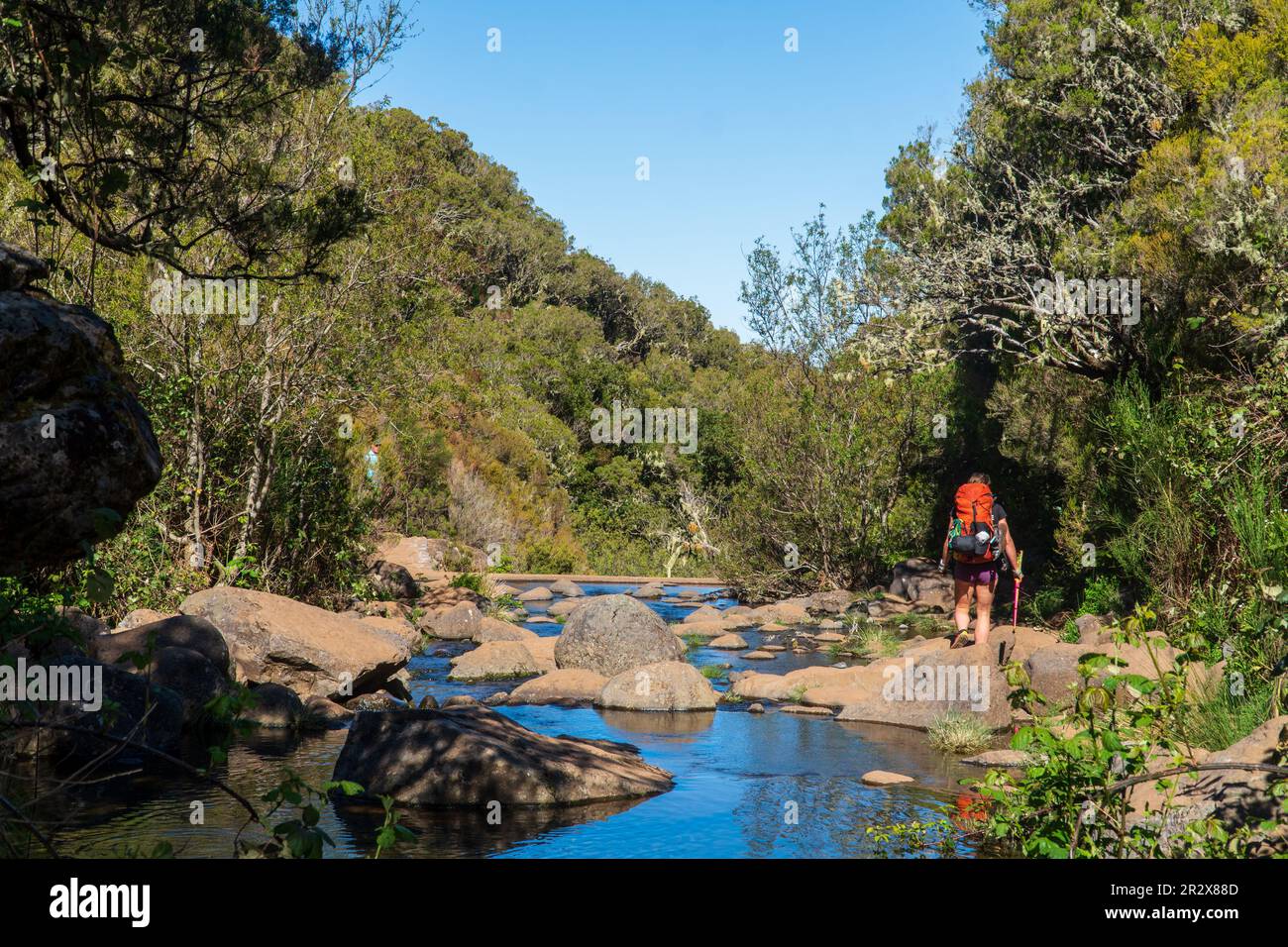Una donna esplora luoghi nuovi, magici e fantastici in tutto il mondo, circondati dalla natura e diffondendo le braccia per respirare e rilassarsi. Donna escursionista c Foto Stock