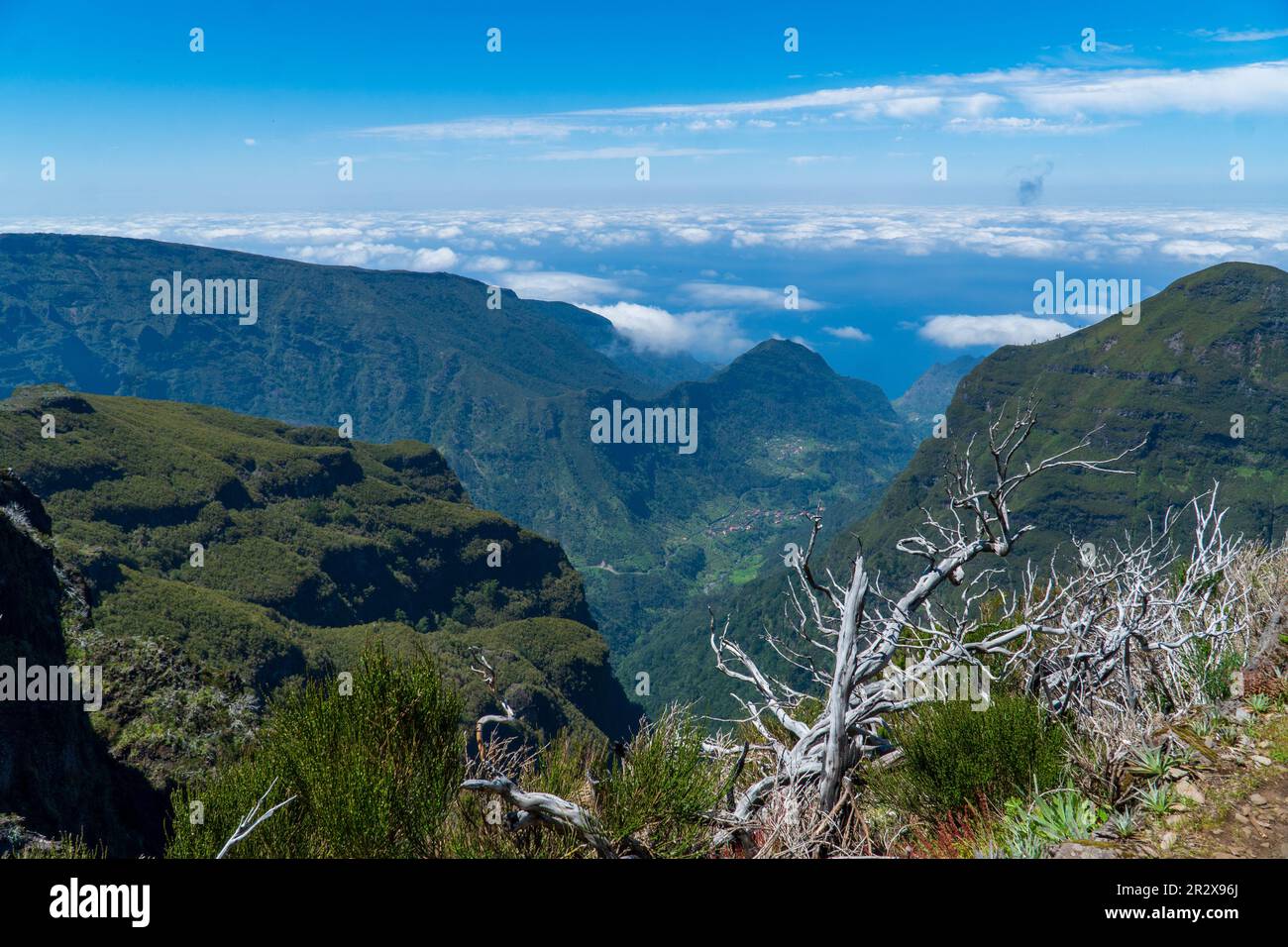 Una vista aerea mozzafiato della catena montuosa di Madeira, che mostra le sue valli lussureggianti e gli alberi con tranquilli altipiani. La natura al suo meglio! Foto Stock