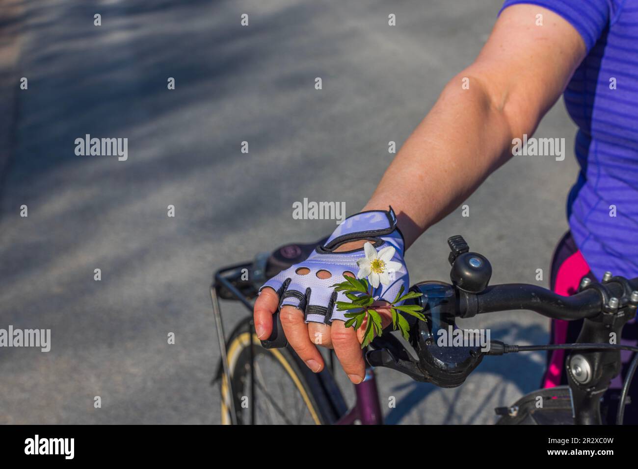 Vista ravvicinata della mano della donna nei guanti sportivi che reggono un fiore bianco. Svezia. Foto Stock