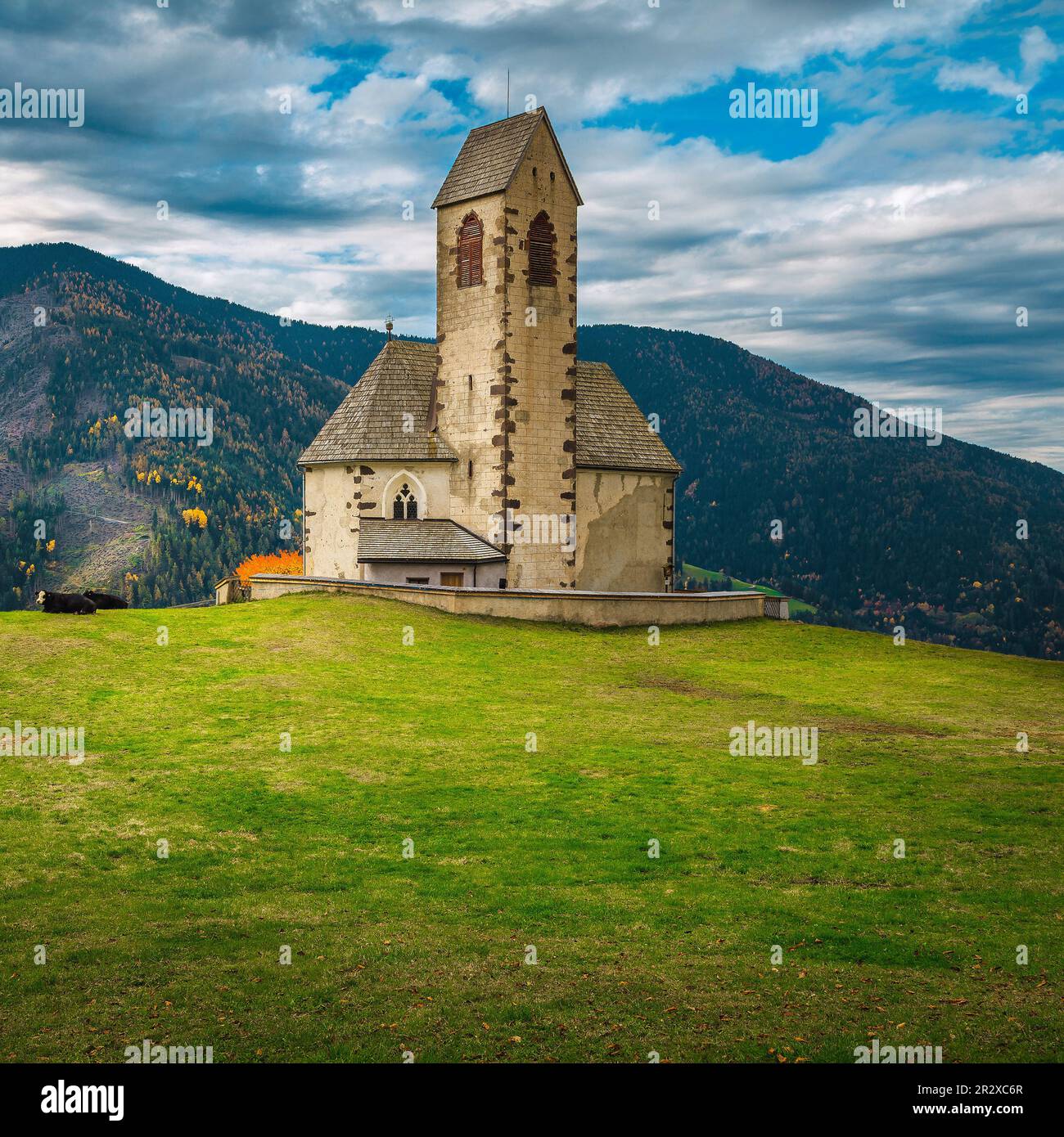 Famosa chiesa di San Giacomo sul prato verde. Antica chiesa con crinali di montagna sullo sfondo, vicino al villaggio di Santa Maddalena in Val Funes Foto Stock