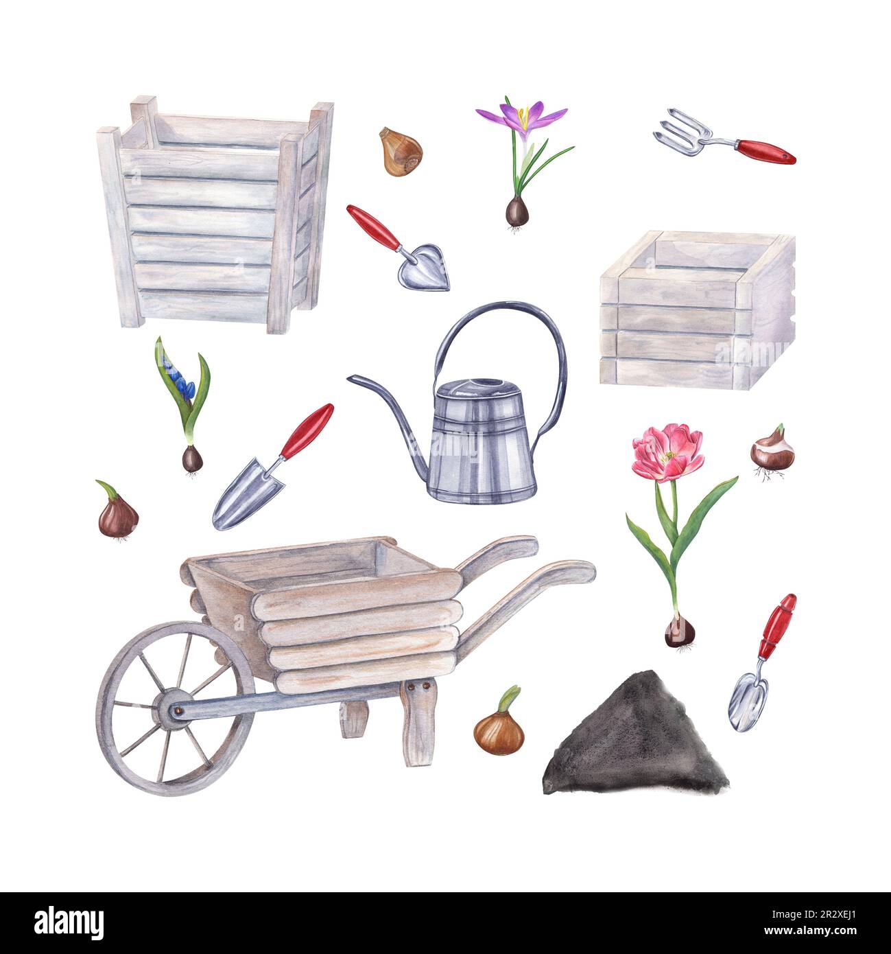 Acquerello attrezzi da giardino, bulbi di fiori, doppio tulipano rosa, croco, scilla isolato su sfondo bianco. Illustrazione di annaffiando può, pentole di legno Foto Stock