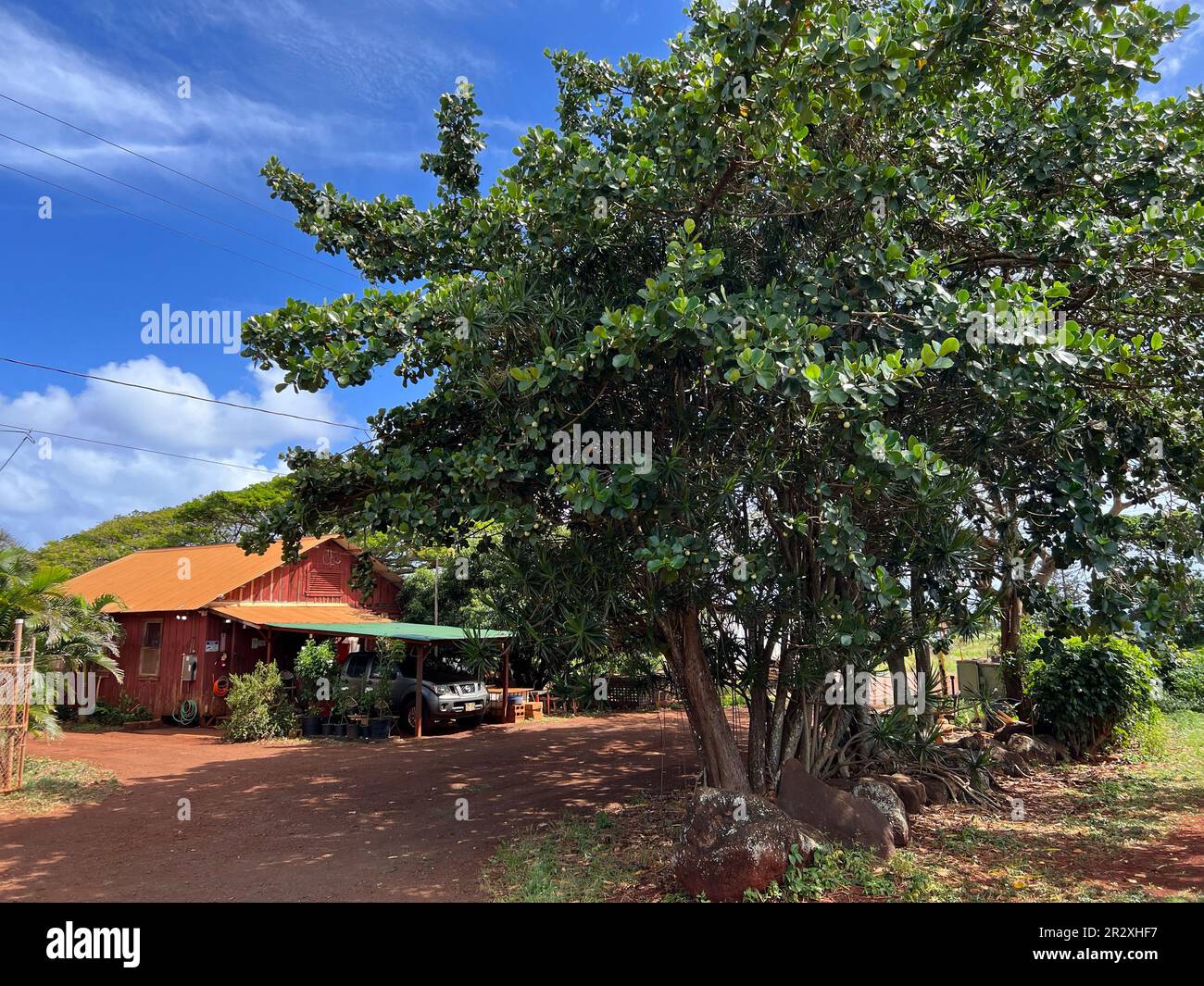 Tipica casa colonica sul lato sud di Kauai Foto Stock