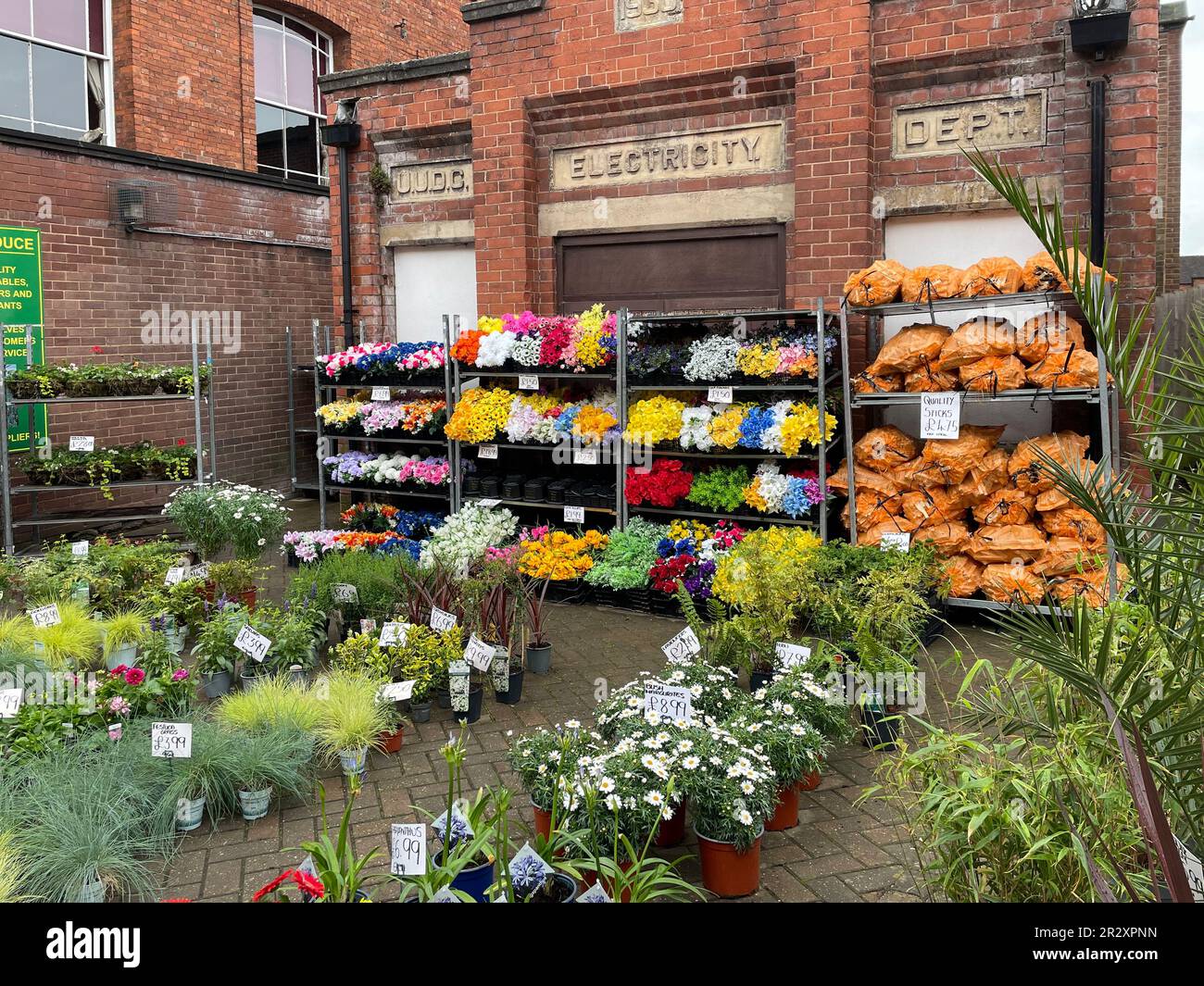 Una serie di piante e arbusti in vendita presso uno stallo del mercato nell'Uttoxeter Staffordshire 19 maggio 2023 Foto Stock