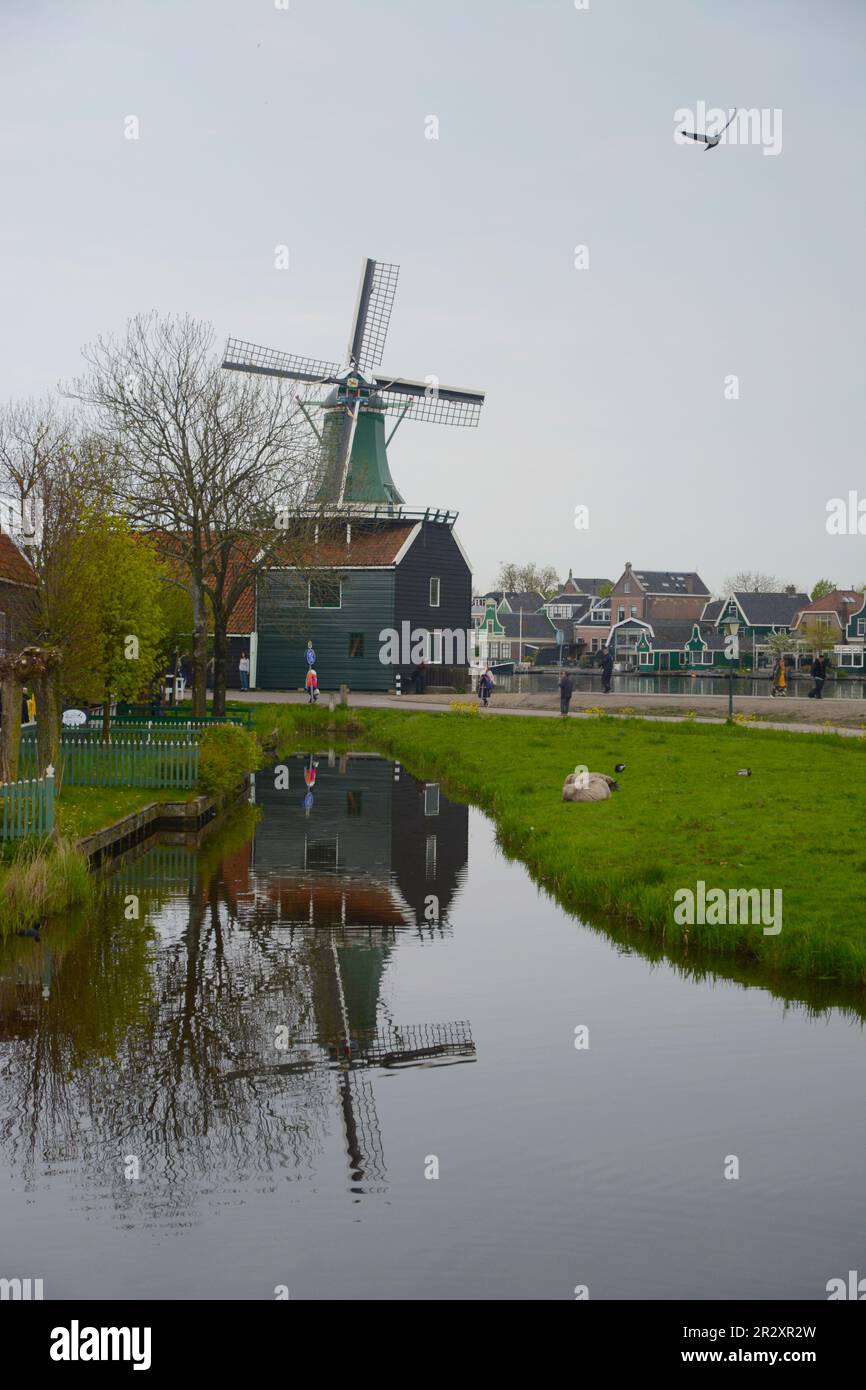 Mulino a vento olandese Foto Stock