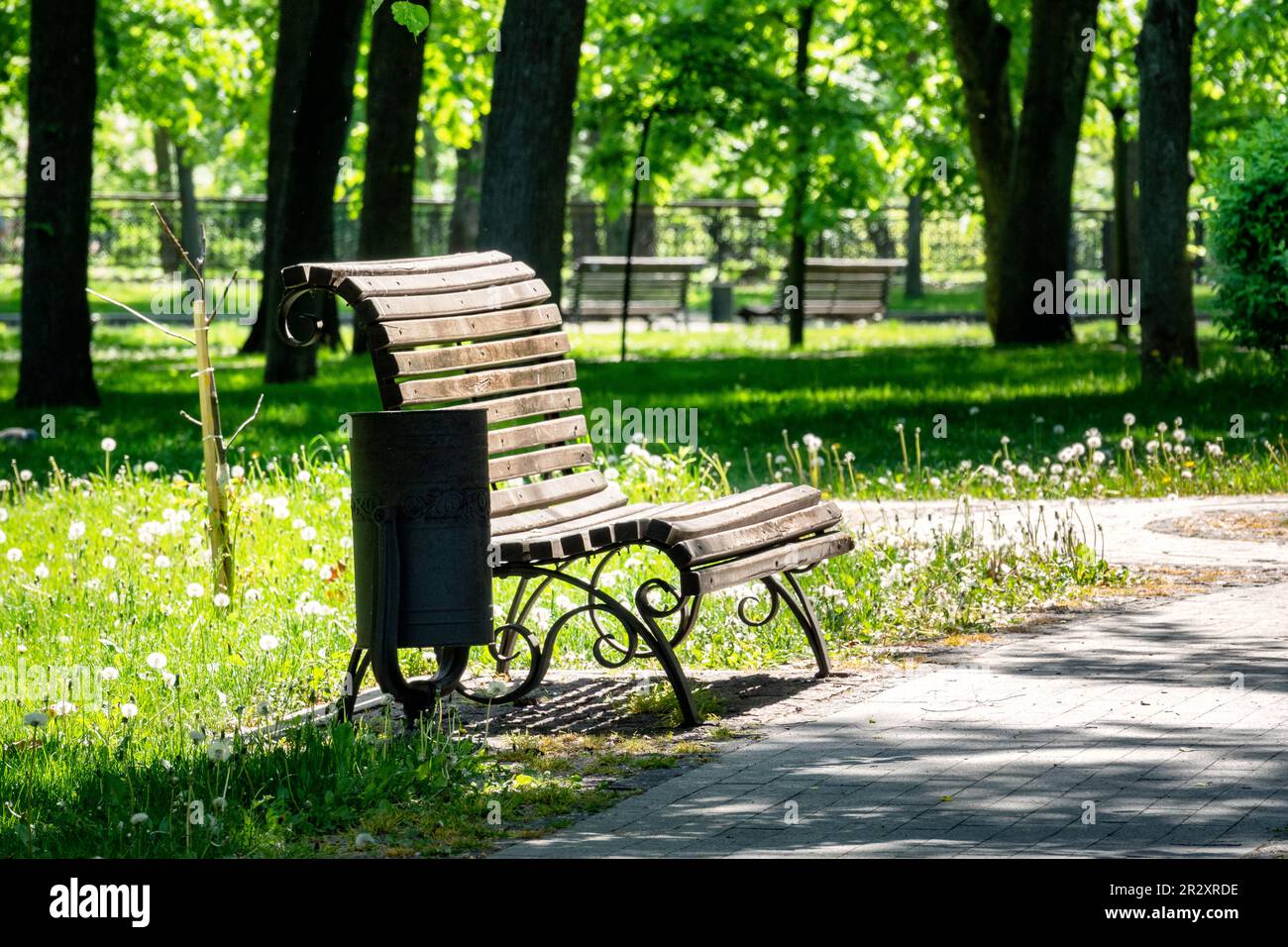 Panchina in un parco cittadino, un luogo di riposo ombreggiato durante una calda giornata estiva Foto Stock