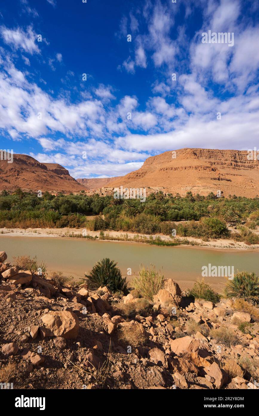 Fiume Ziz, Oued Ziz, Gorges du Ziz, Ziz Valley, Gole Ziz, Regione di Tafilalet, Nord Africa, Marocco Foto Stock