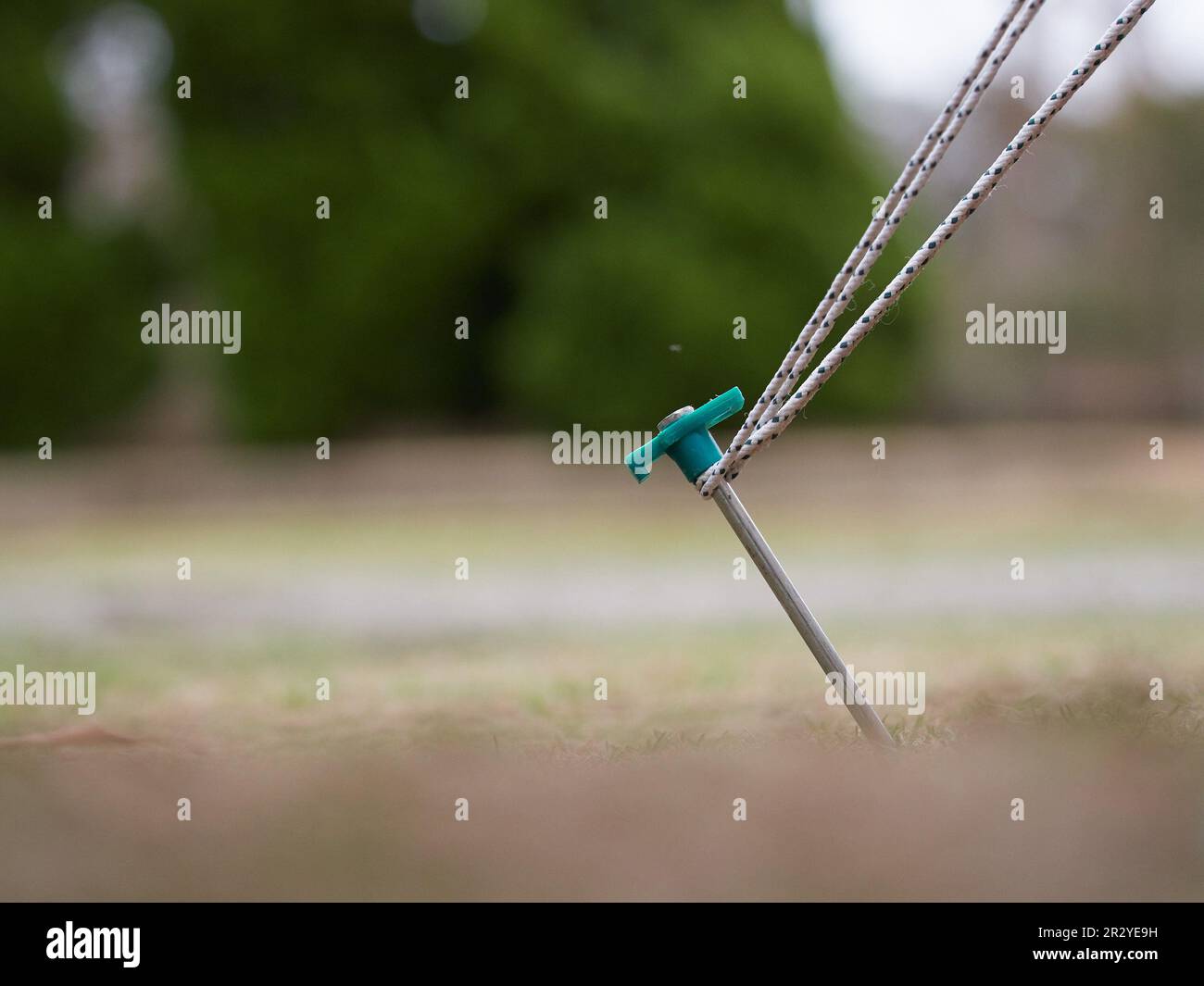 Primo piano dei pioli per lanciare la tenda in Giappone Foto Stock