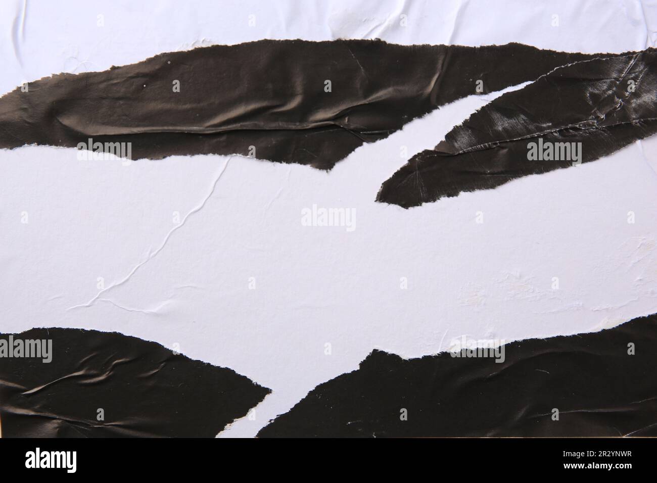 Texture di poster in carta strappata bianca e nera, primo piano Foto Stock