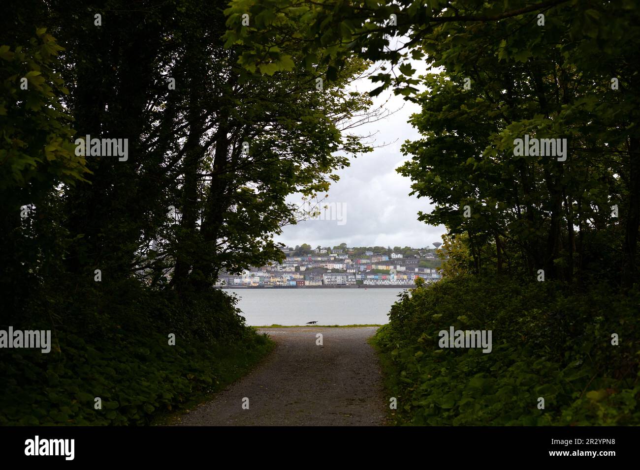 Vista di Cobh, Irlanda, nella contea di Cork, come si vede da Spike Island. Foto Stock