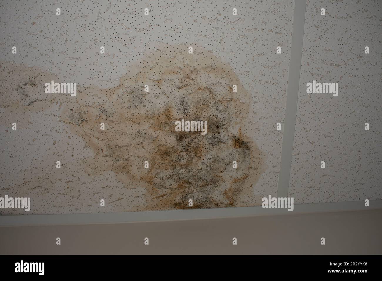 Foto di danni da acqua sulla piastrella del soffitto in Florida casa. Foto Stock