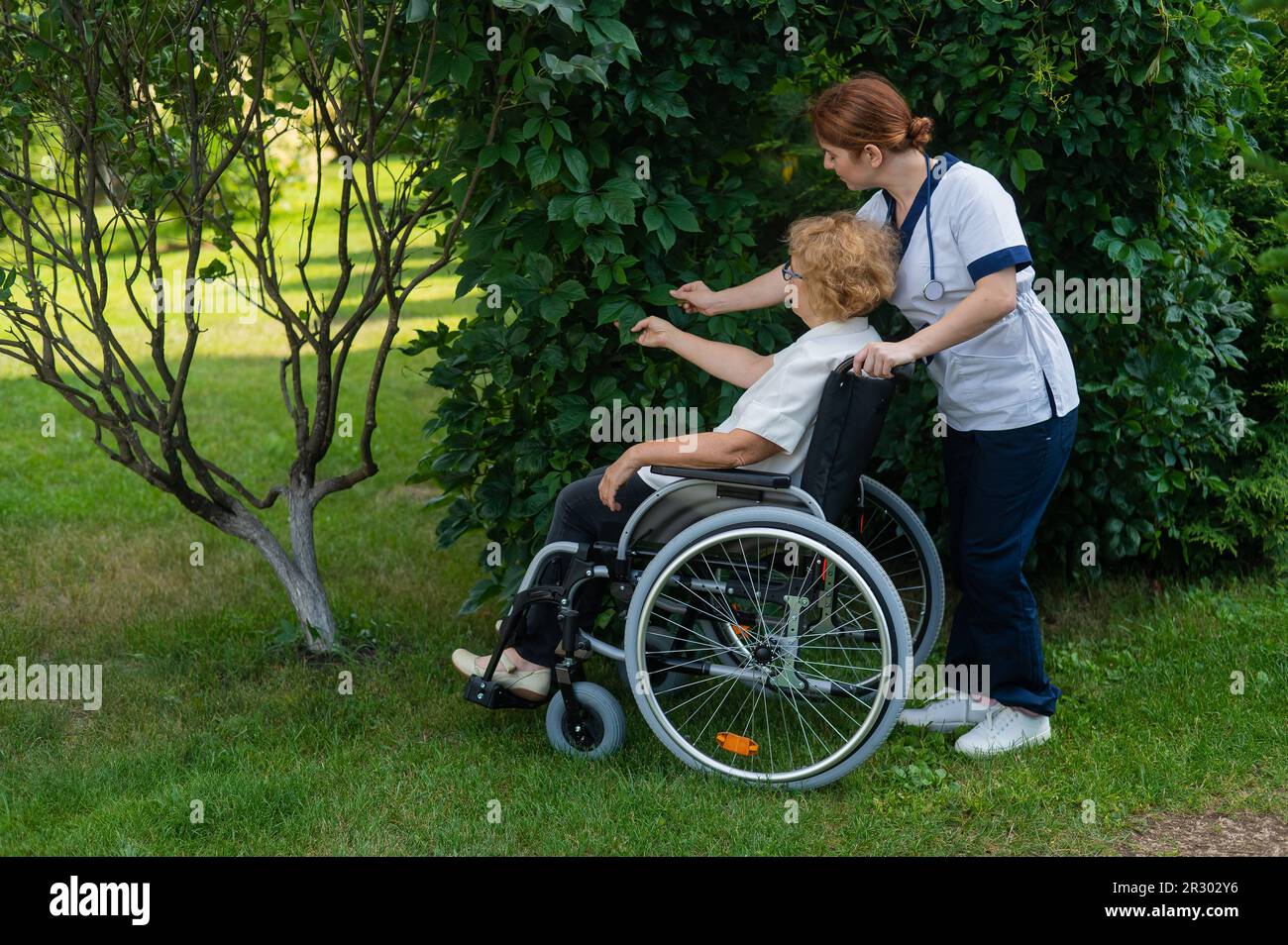 La dottoressa caucasica cammina con una paziente anziana in carrozzina nel parco. L'infermiera accompagna una vecchia donna in una passeggiata all'aperto. Foto Stock