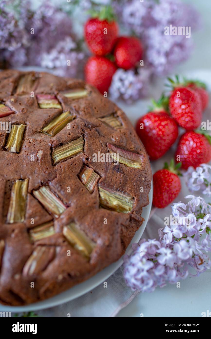 torta di rabarbaro al cioccolato fatta in casa su un tavolo Foto Stock