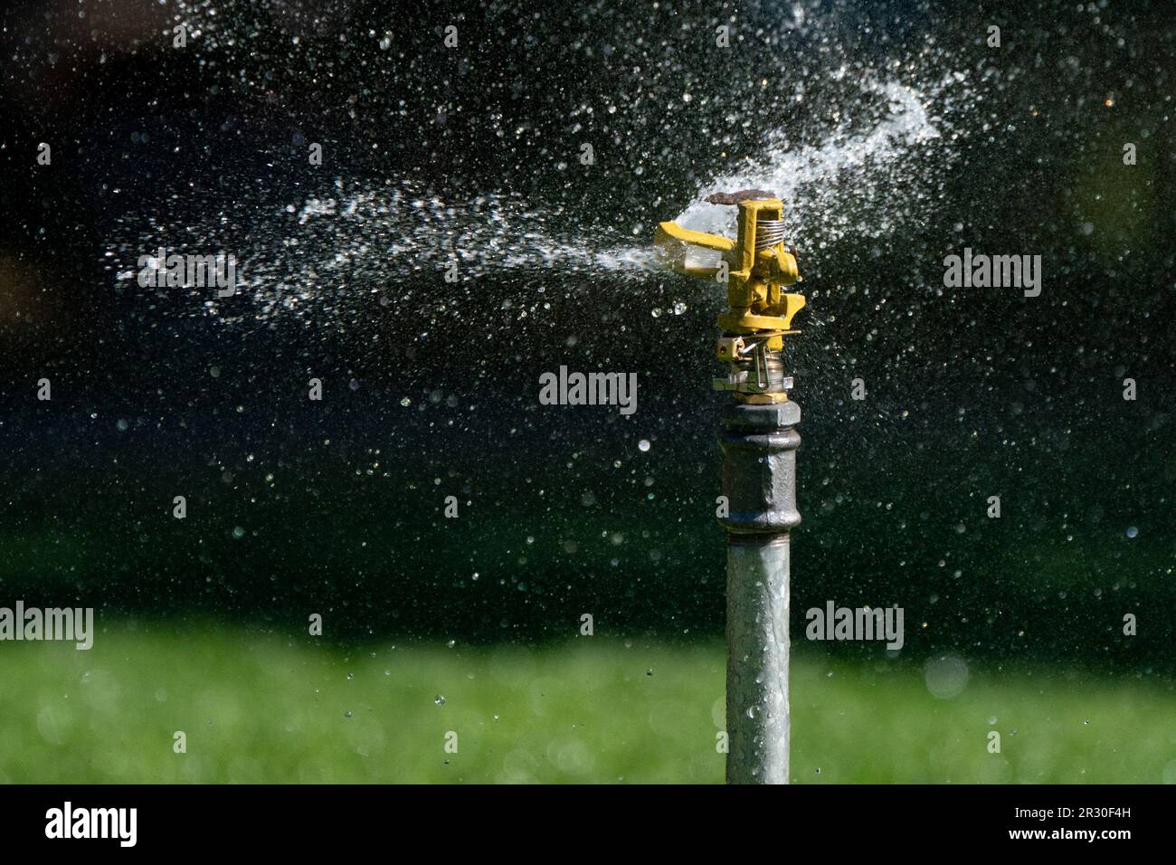 Foto del file datata 11/07/2022 di una testina spruzzatrice che spruzza acqua su un prato verde a Londra. I giardinieri acuti stanno avvertendo da un assicuratore importante per considerare i rischi di subsidence quando piantano gli alberi e gli arbusti vicino alla loro sede. Una ricerca condotta per Aviva suggerisce che circa un terzo (33%) delle persone con qualche spazio esterno in tutto il Regno Unito si aspettano di piantare alberi, siepi o arbusti nuovi quest'anno. L’ondata di caldo del Regno Unito osservata la scorsa estate ha alimentato preoccupazioni sui rischi di subsidenza. Data di emissione: Lunedì 22 maggio 2023. Foto Stock Foto del file datata 11/07/2022 di una testina spruzzatrice che spruzza acqua su un prato verde a Londra. I giardinieri acuti stanno avvertendo da un assicuratore importante per considerare i rischi di subsidence quando piantano gli alberi e gli arbusti vicino alla loro sede. Una ricerca condotta per Aviva suggerisce che circa un terzo (33%) delle persone con qualche spazio esterno in tutto il Regno Unito si aspettano di piantare alberi, siepi o arbusti nuovi quest'anno. L’ondata di caldo del Regno Unito osservata la scorsa estate ha alimentato preoccupazioni sui rischi di subsidenza. Data di emissione: Lunedì 22 maggio 2023. Foto Stock