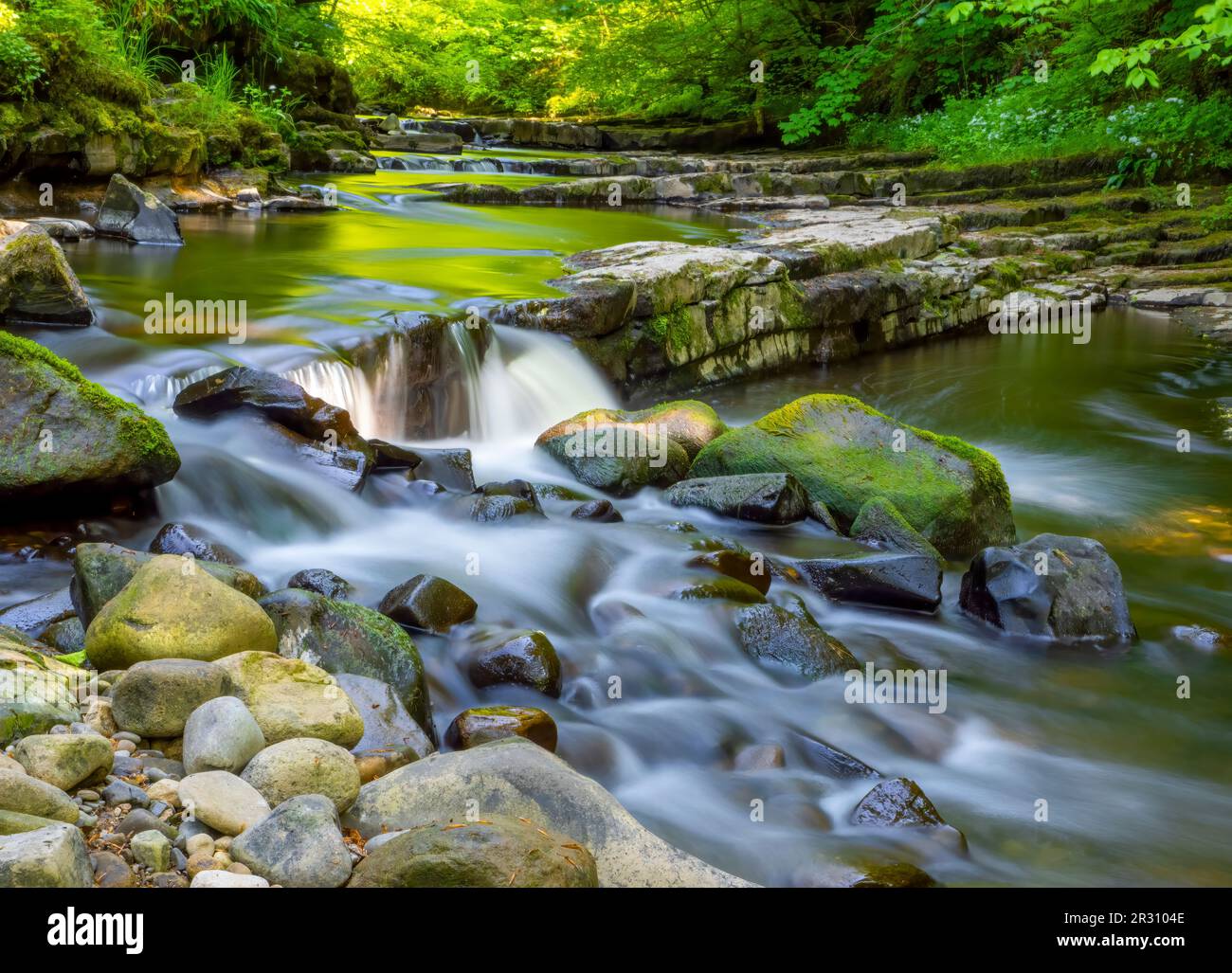 Il fiume Brock che scorre sulle rocce mentre passa attraverso i boschi in Brock Bottom vicino a Preston, Lancashire, Regno Unito Foto Stock
