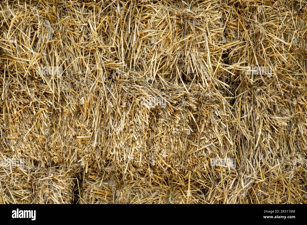 Balle di fieno di erba secca impilate, mangimi per bestiame, Paesi Bassi Foto Stock