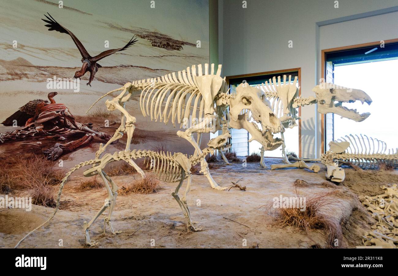 Agate Fossil Beds National Monument in Nebraska Foto Stock