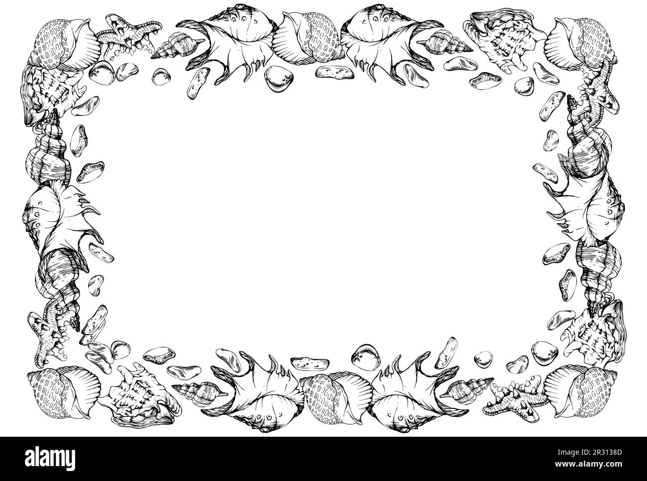 Inchiostro vettoriale a spirale perla, conchiglie marroni e dorate e stelle marine disegnate a mano. Cornice con bordo quadrato. Isolato su sfondo bianco. Arte murale, matrimonio Illustrazione Vettoriale