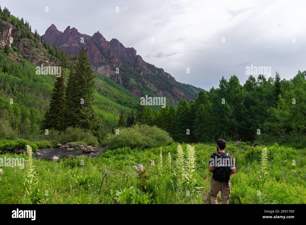 Uomo che guarda montagna in Aspen Colorado durante l'estate Foto Stock