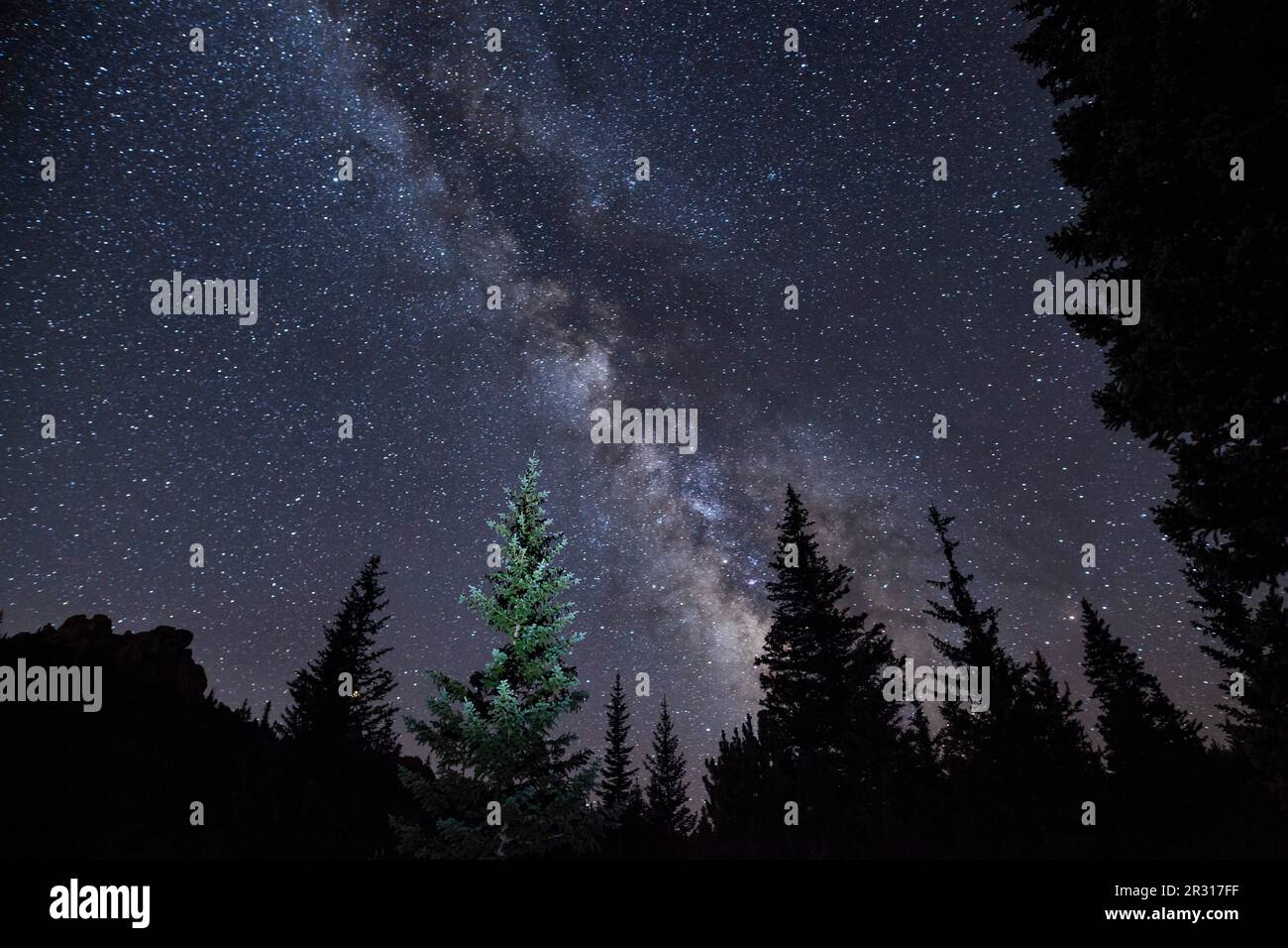Via Lattea di notte sopra la silhouette di alberi Foto Stock