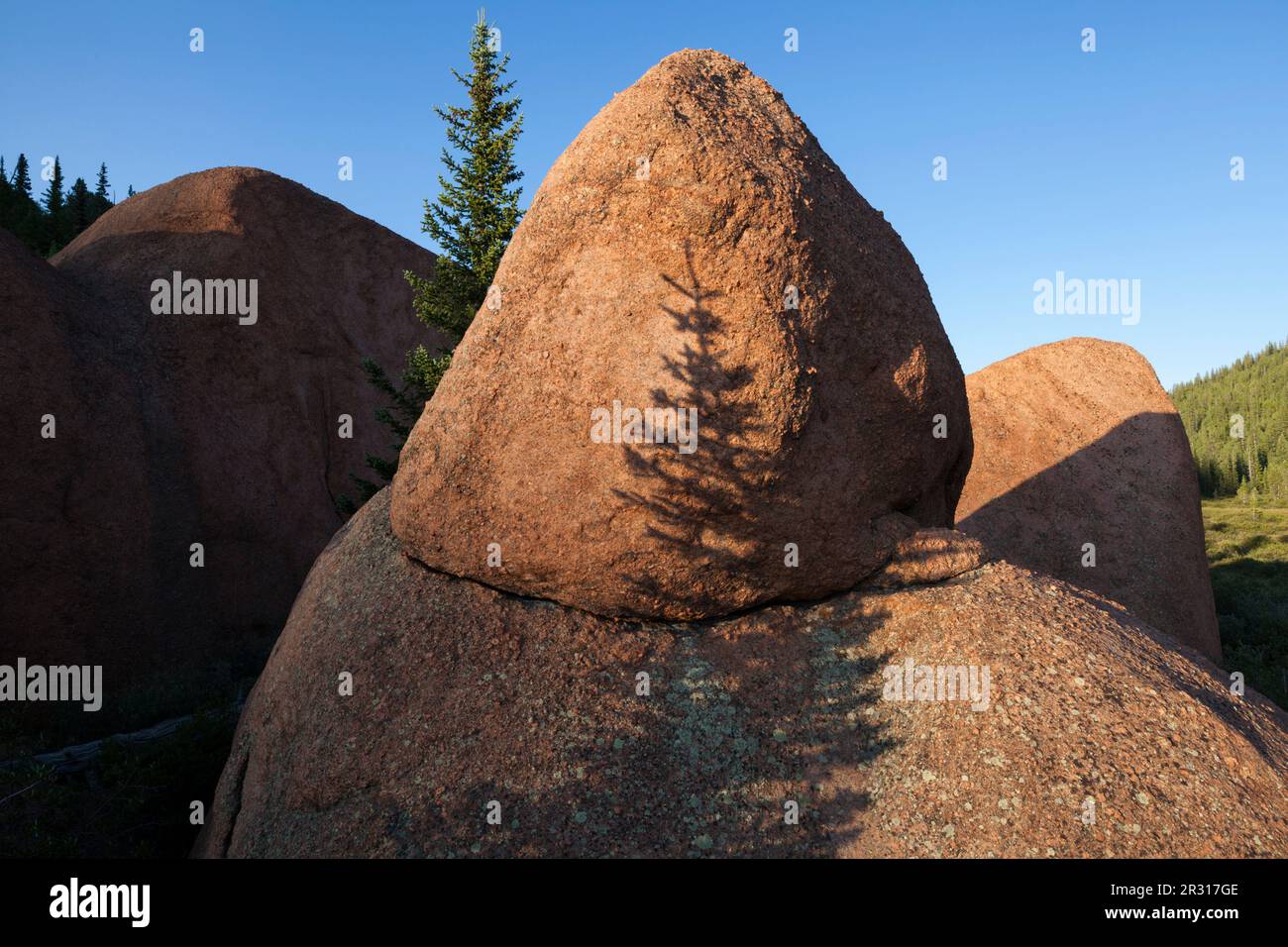 Gli alberi crescono tra formazioni rocciose di granito nella Lost Creek Wilderness Foto Stock