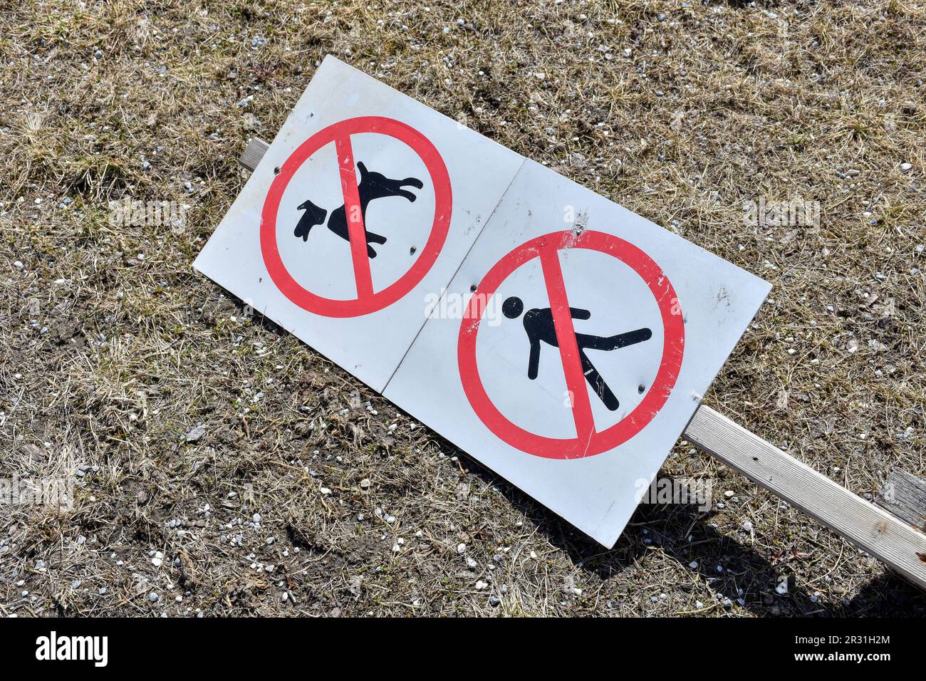 Schild, Tafel, Verbot, Betreten verboten, Hunde verboten, Weg, gesperrt, Zeichen, Verkehrszeichen, Papier, Pflock, Holzpflock, Frühjahr, umgestürzt, S Foto Stock