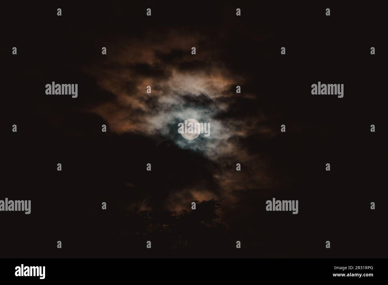cielo scuro con luna piena Foto Stock