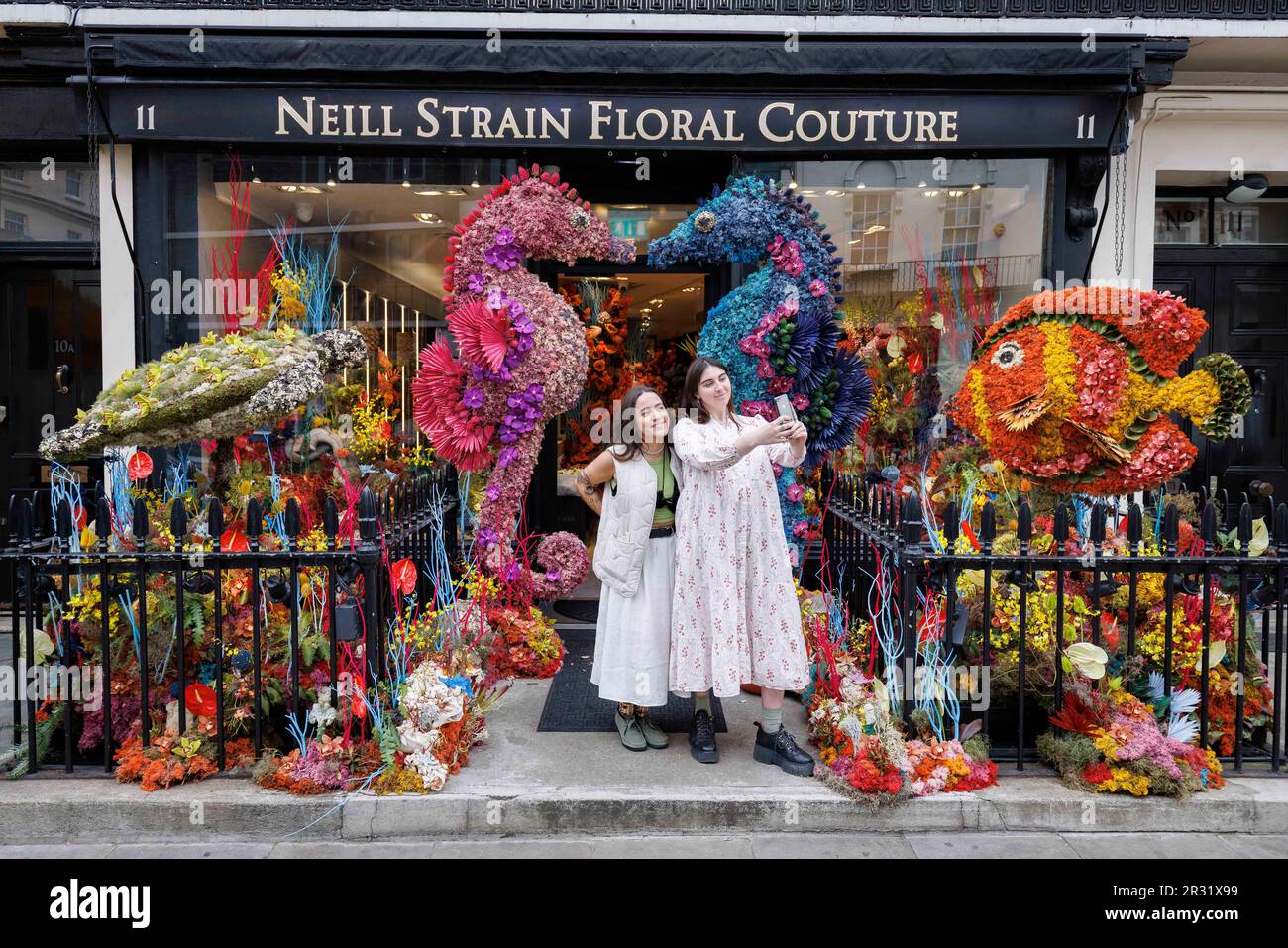 USO EDITORIALE SOLO le persone prendono selfie di fronte a un'installazione floreale sulla finestra del negozio Neill Strain Floral Couture a West Halkin Street a Londra, che è stato progettato per il festival Belgravia in Bloom, in corso dal 22 al 29 maggio, Londra. Data immagine: Lunedì 22 maggio 2023. Foto Stock